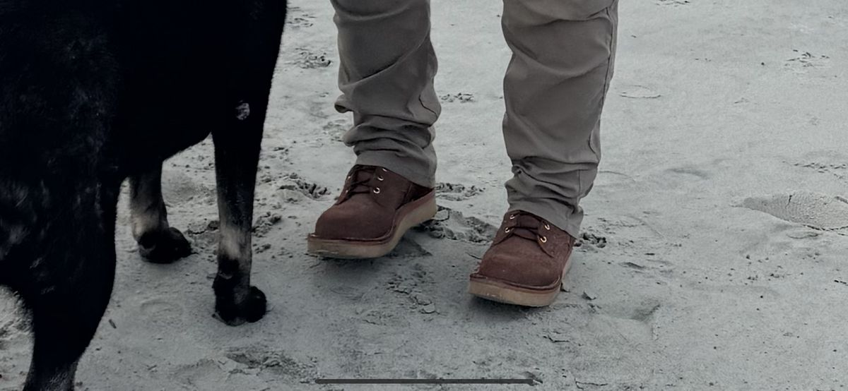 Photo by Shannmoody on July 7, 2025 of the Frank's Boots Rainier in Seidel Chocolate Oil Tan Roughout.