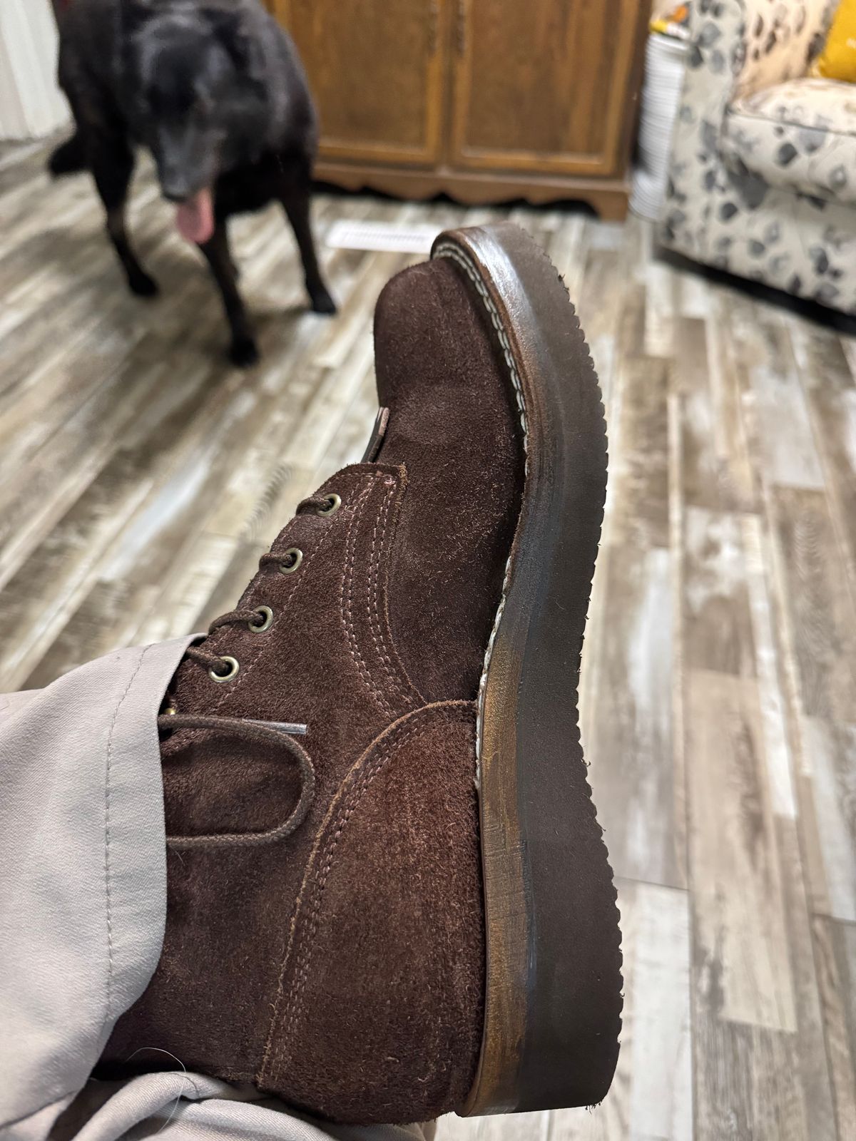 Photo by Shannmoody on June 3, 2025 of the Frank's Boots Rainier in Seidel Mocha Oil Tan Roughout.