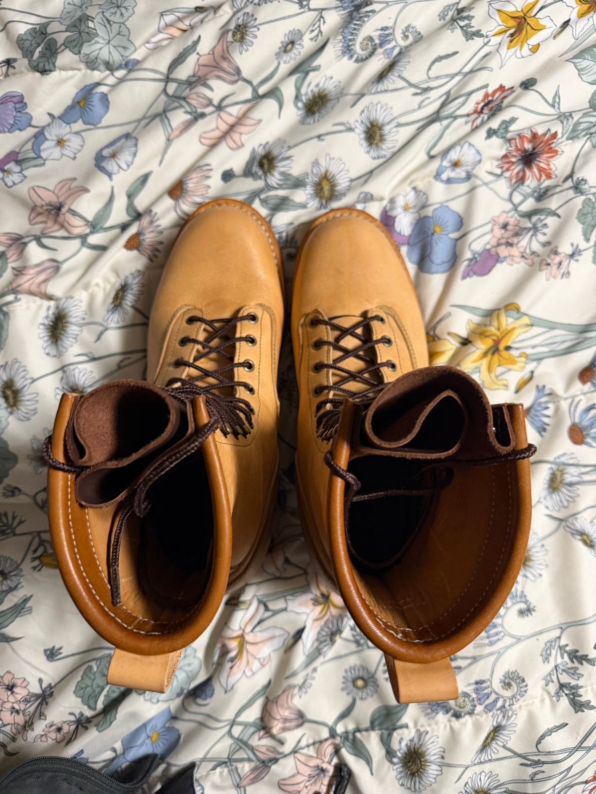 Photo by Shannmoody on February 21, 2026 of the Frank's Boots Natural Heritage in Badalassi Carlo Natural Pueblo And Badalassi Carlo Cognac Plueblo.