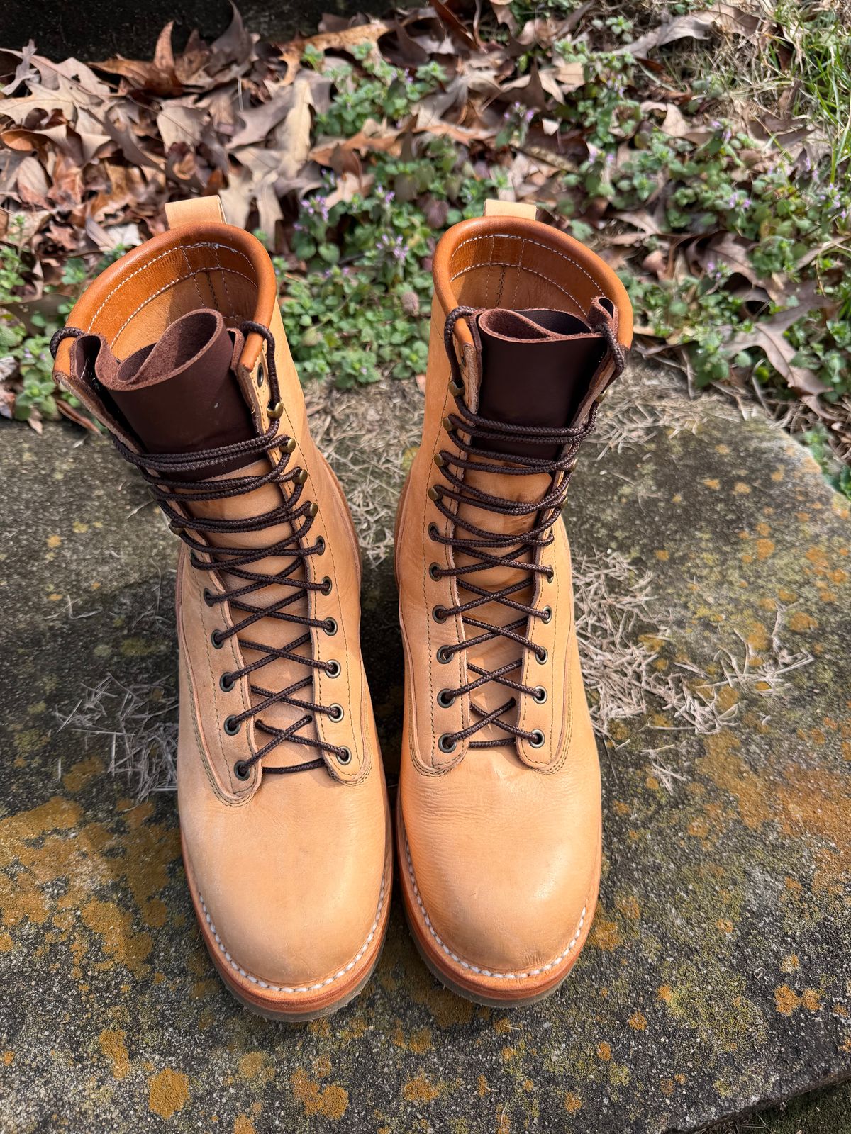 Photo by Shannmoody on February 21, 2026 of the Frank's Boots Natural Heritage in Badalassi Carlo Natural Pueblo And Badalassi Carlo Cognac Plueblo.