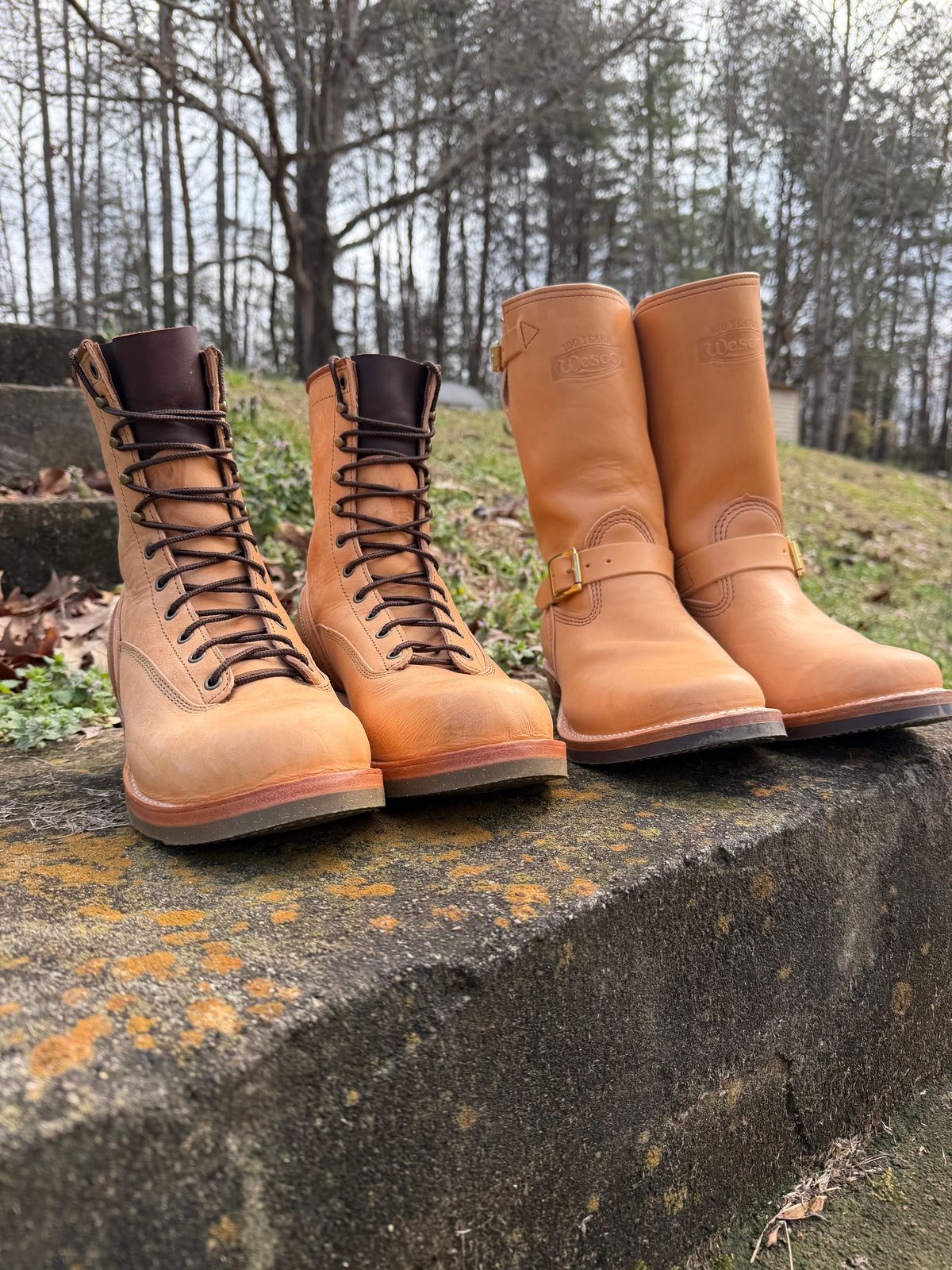 Photo by Shannmoody on February 21, 2026 of the Frank's Boots Natural Heritage in Badalassi Carlo Natural Pueblo And Badalassi Carlo Cognac Plueblo.
