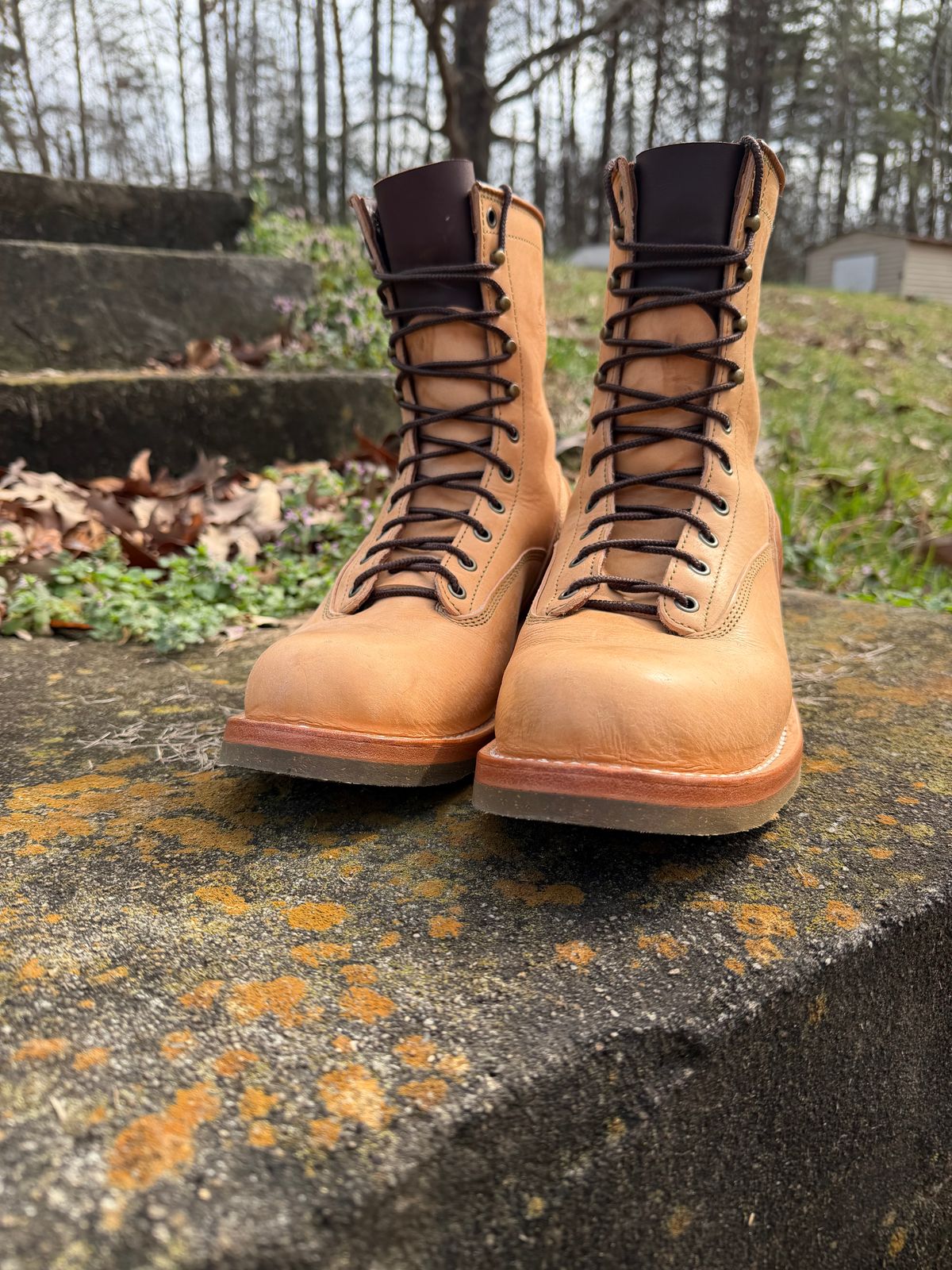 Photo by Shannmoody on February 21, 2026 of the Frank's Boots Natural Heritage in Badalassi Carlo Natural Pueblo And Badalassi Carlo Cognac Plueblo.