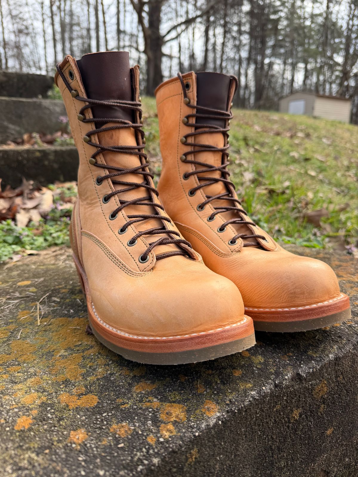 Photo by Shannmoody on February 21, 2026 of the Frank's Boots Natural Heritage in Badalassi Carlo Natural Pueblo And Badalassi Carlo Cognac Plueblo.