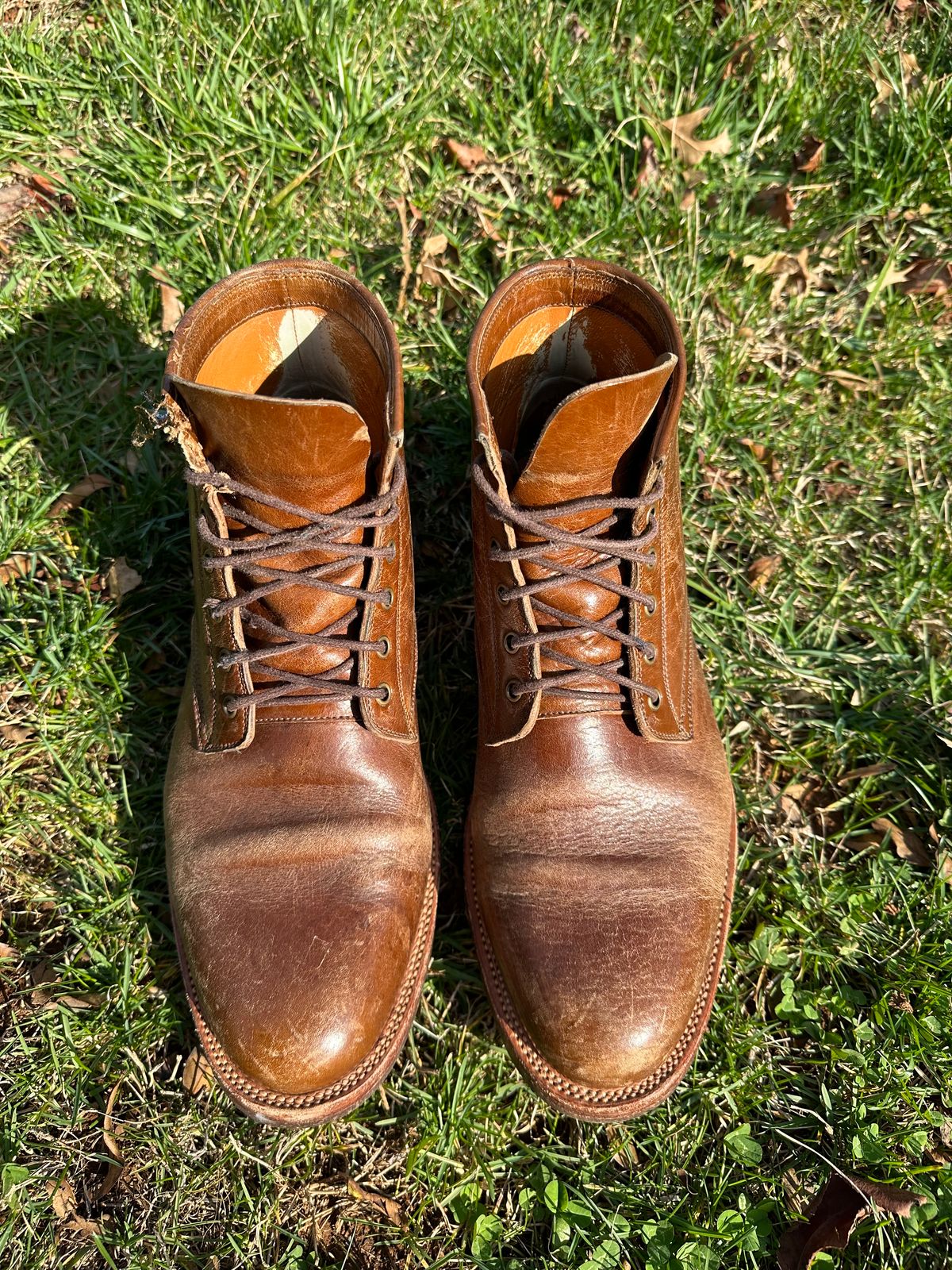Photo by bucknorris336 on March 1, 2023 of the Tahura Altilis in Shinki Cognac Oiled Horsebutt.