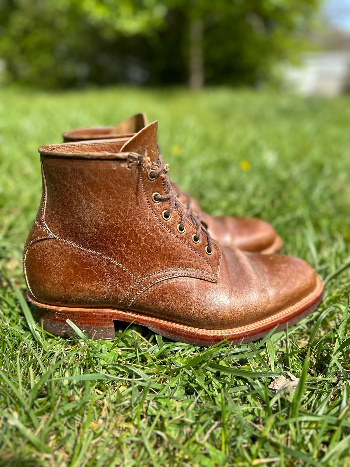 Photo by bucknorris336 on April 4, 2023 of the Tahura Altilis in Shinki Cognac Oiled Horsebutt.
