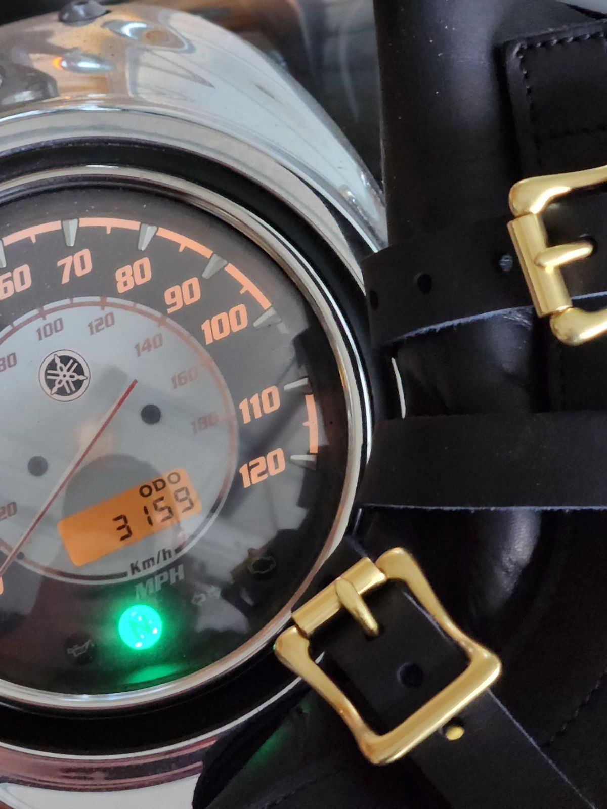 Photo by Quincy.fry on November 1, 2022 of the Nicks TankerPro in Seidel MaxSupport Black.