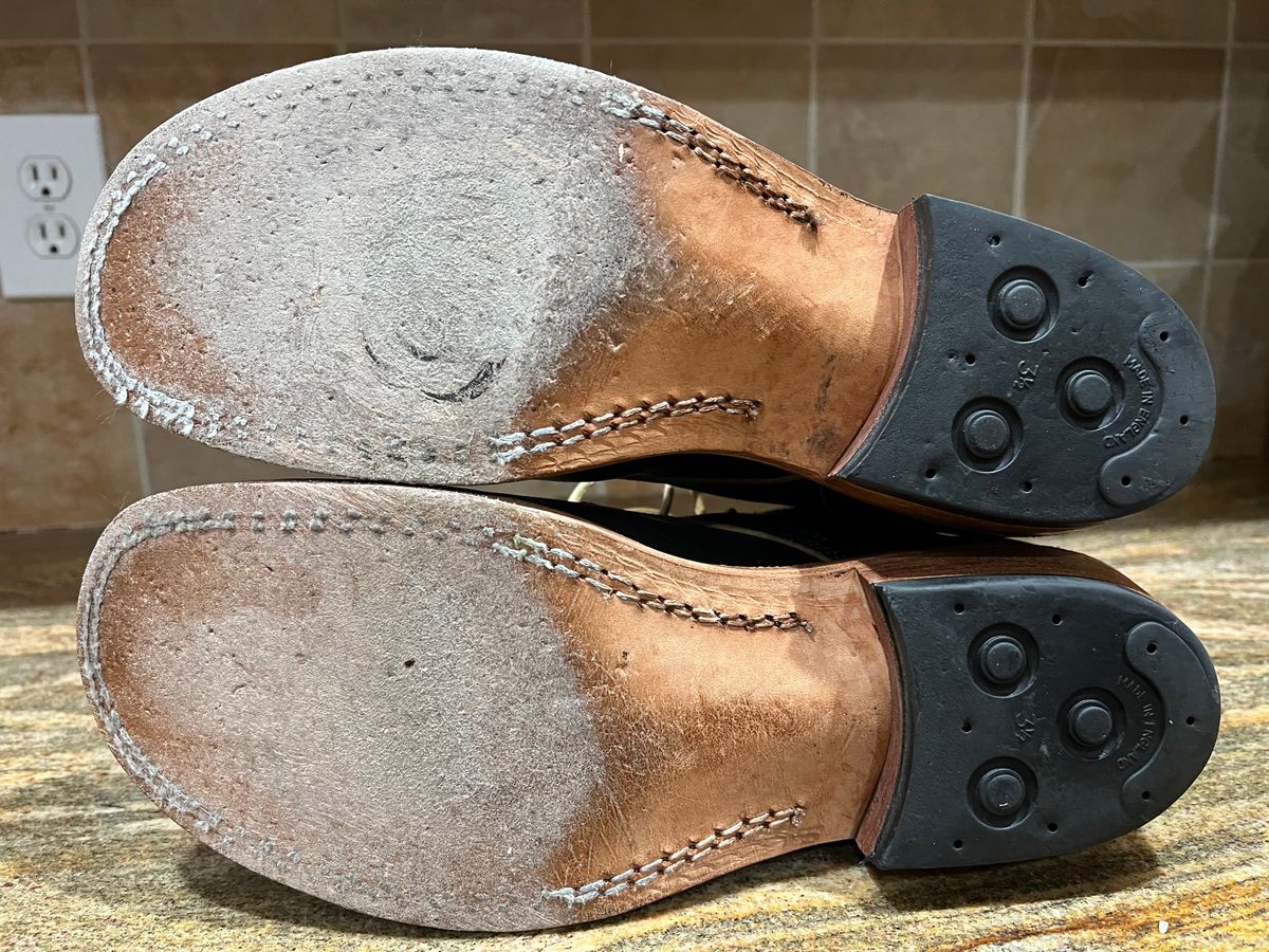 Photo by SpydercoMariner on July 23, 2025 of the Nicks Ivan in Pacific Waxed Flesh.