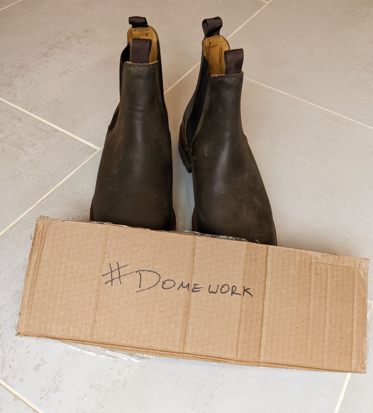 Photo by ganelo on October 1, 2022 of the Meermin Chelsea Boot in Caper Green Waxy Shell Cordovan.