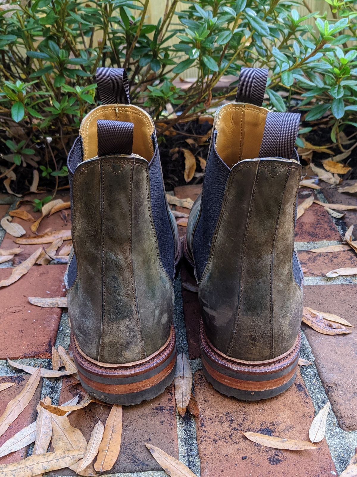 Photo by ganelo on November 5, 2022 of the Meermin Chelsea Boot in Caper Green Waxy Shell Cordovan.