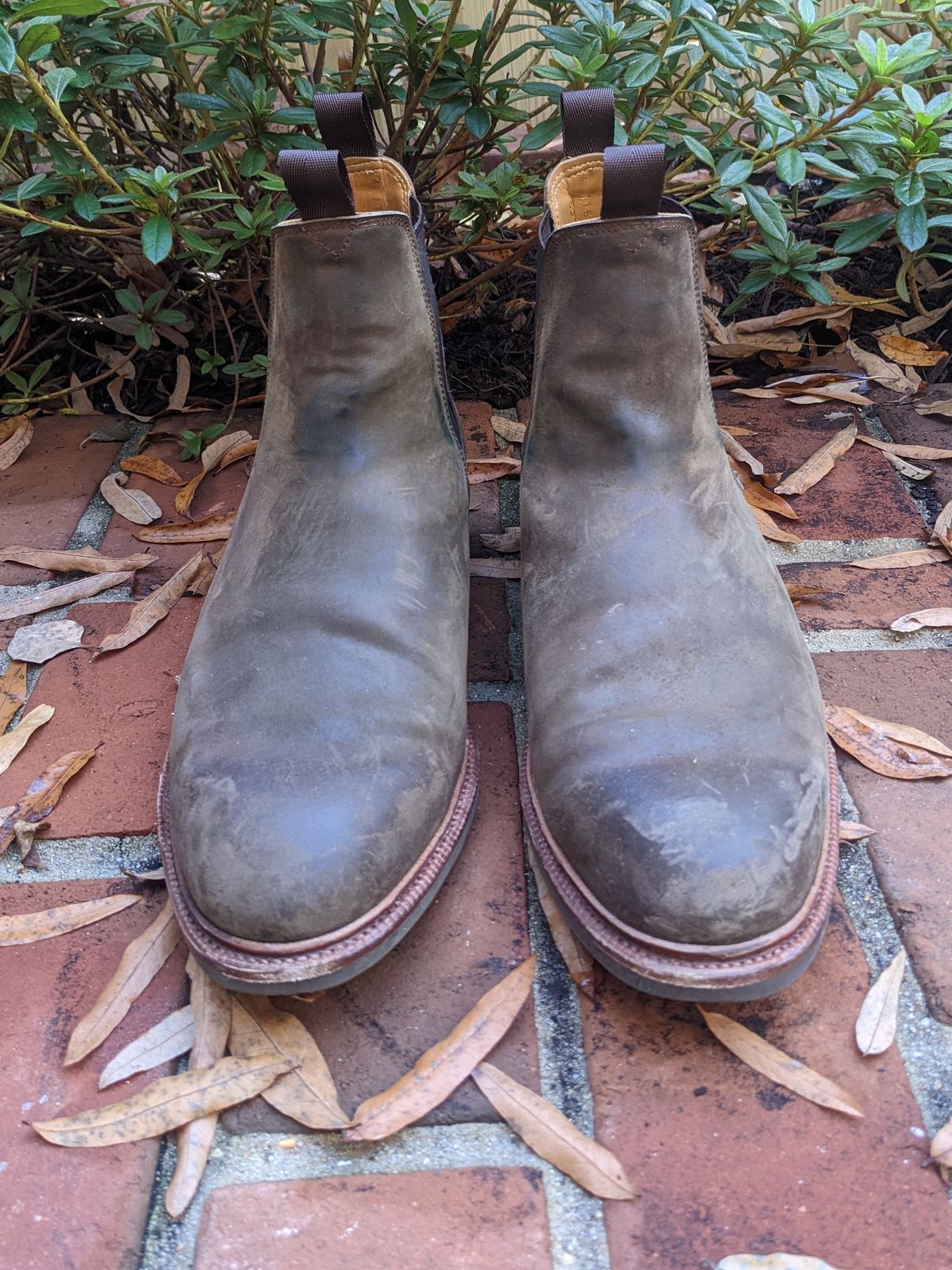 Photo by ganelo on November 5, 2022 of the Meermin Chelsea Boot in Caper Green Waxy Shell Cordovan.