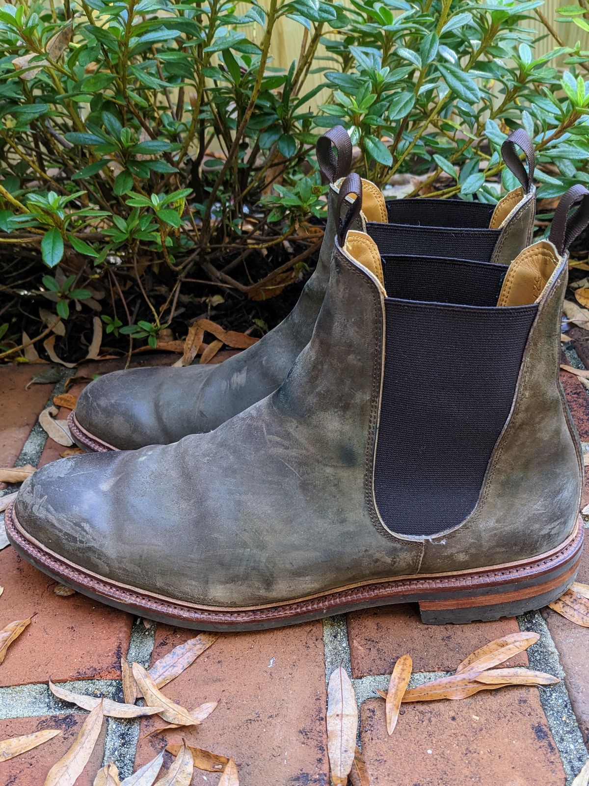 Photo by ganelo on November 5, 2022 of the Meermin Chelsea Boot in Caper Green Waxy Shell Cordovan.