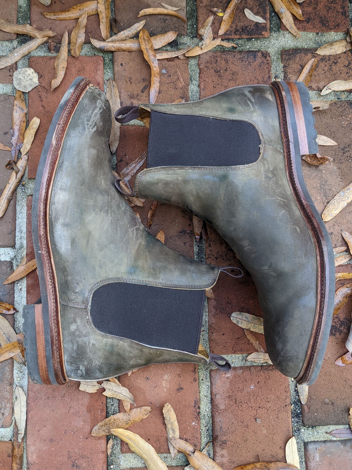 Photo by ganelo on November 5, 2022 of the Meermin Chelsea Boot in Caper Green Waxy Shell Cordovan.