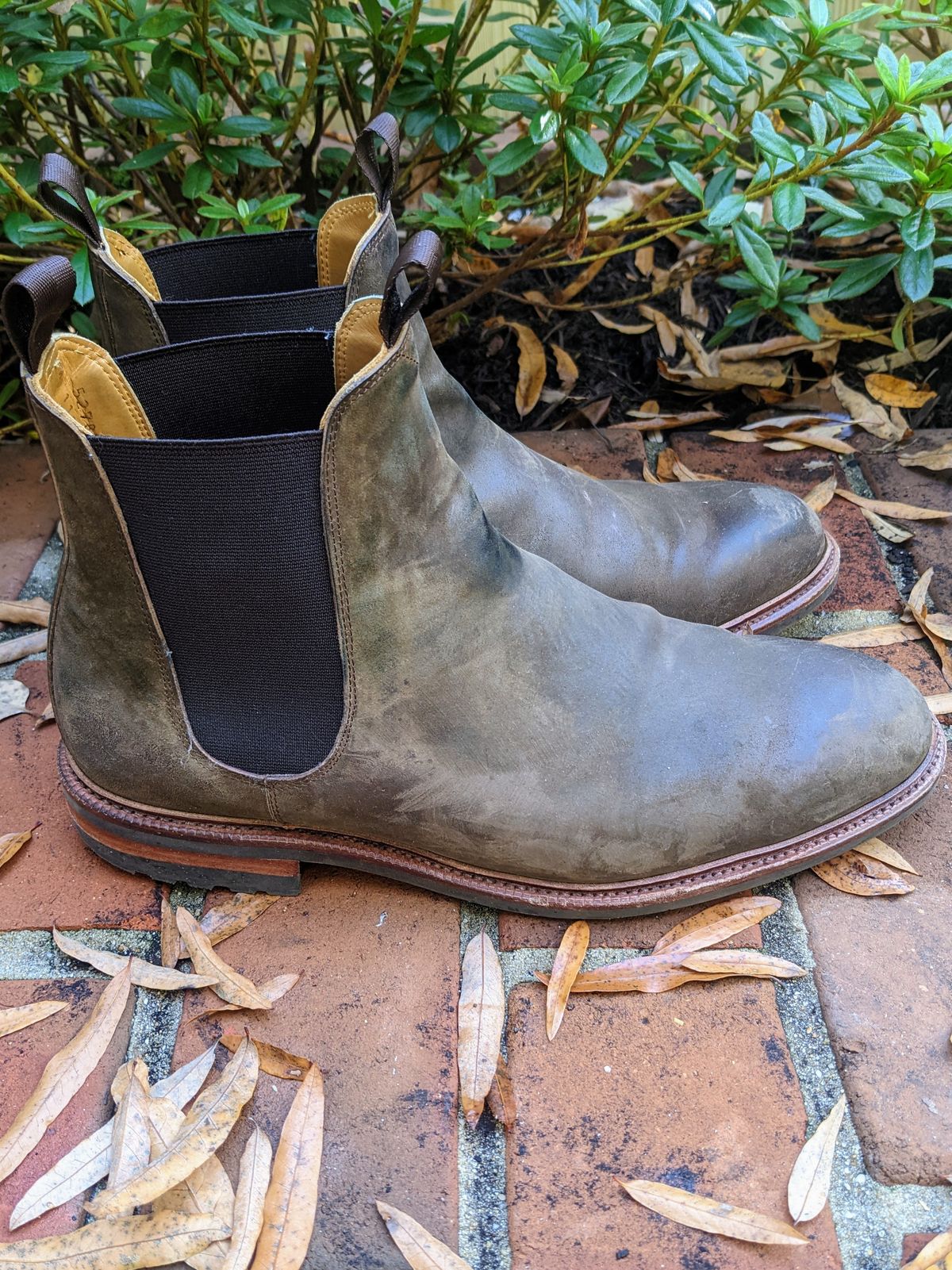 Photo by ganelo on November 5, 2022 of the Meermin Chelsea Boot in Caper Green Waxy Shell Cordovan.