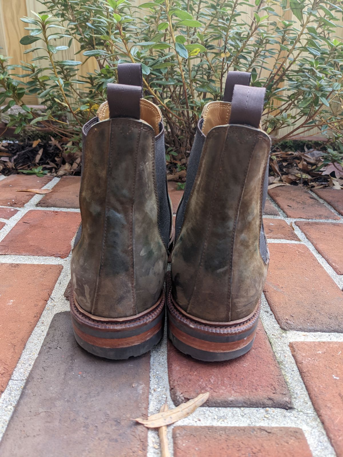Photo by ganelo on December 4, 2022 of the Meermin Chelsea Boot in Caper Green Waxy Shell Cordovan.