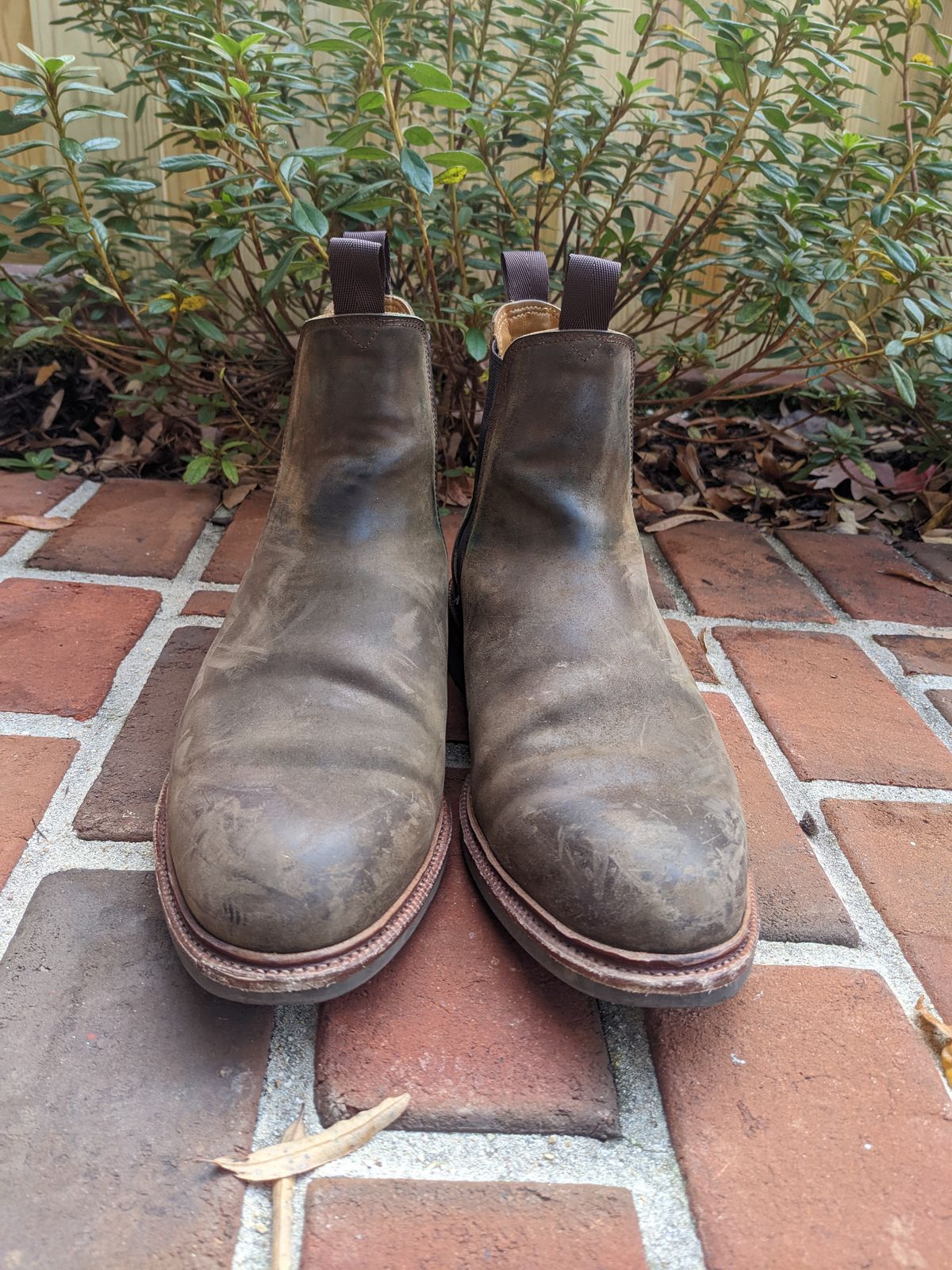 Photo by ganelo on December 4, 2022 of the Meermin Chelsea Boot in Caper Green Waxy Shell Cordovan.
