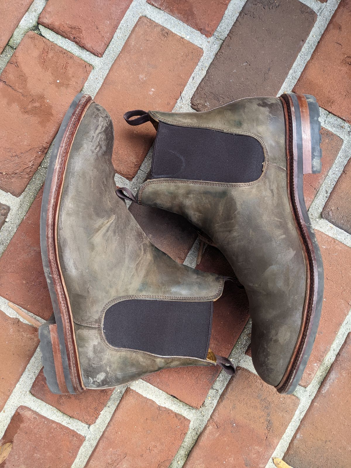Photo by ganelo on December 4, 2022 of the Meermin Chelsea Boot in Caper Green Waxy Shell Cordovan.