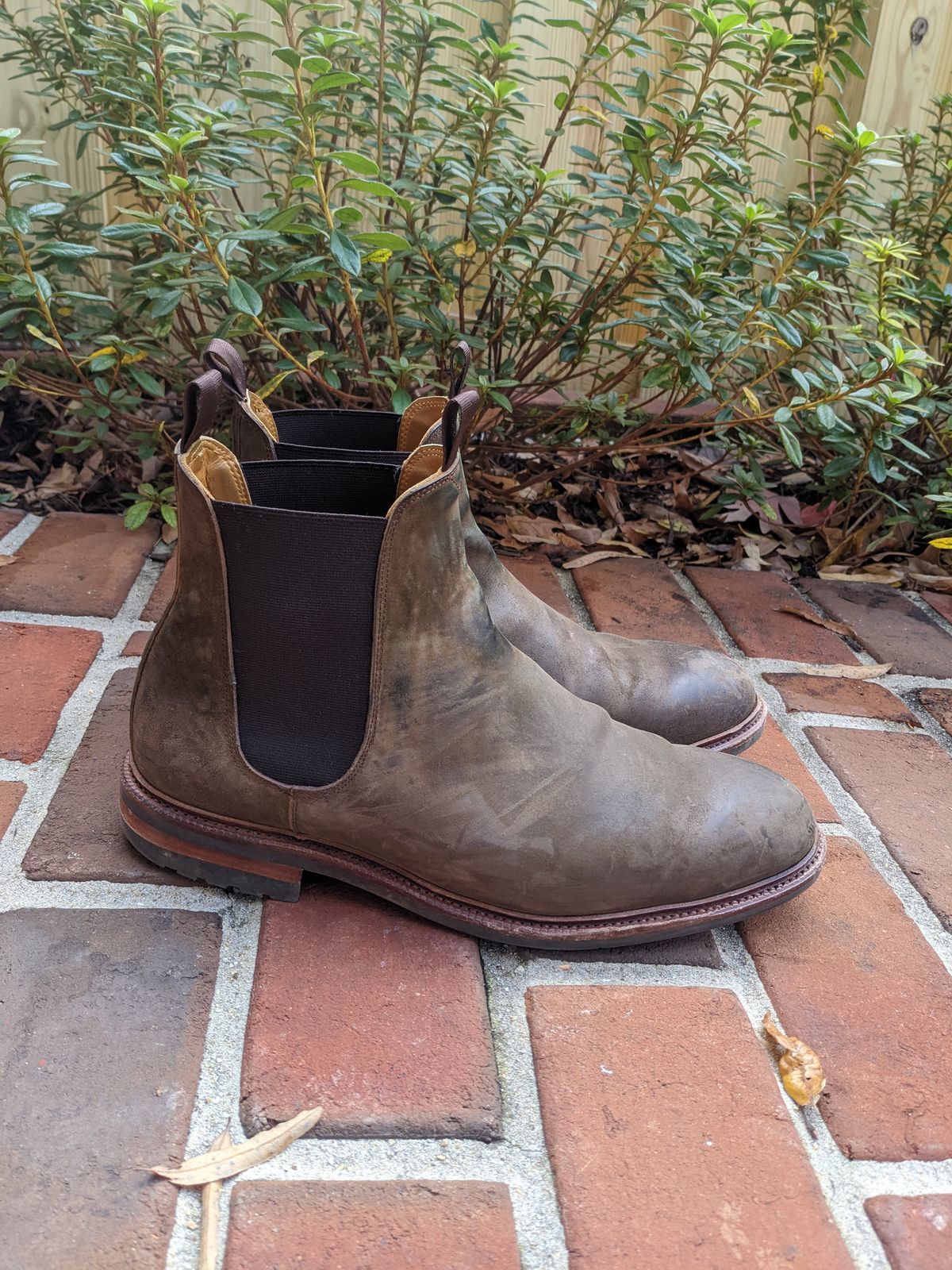 Photo by ganelo on December 4, 2022 of the Meermin Chelsea Boot in Caper Green Waxy Shell Cordovan.