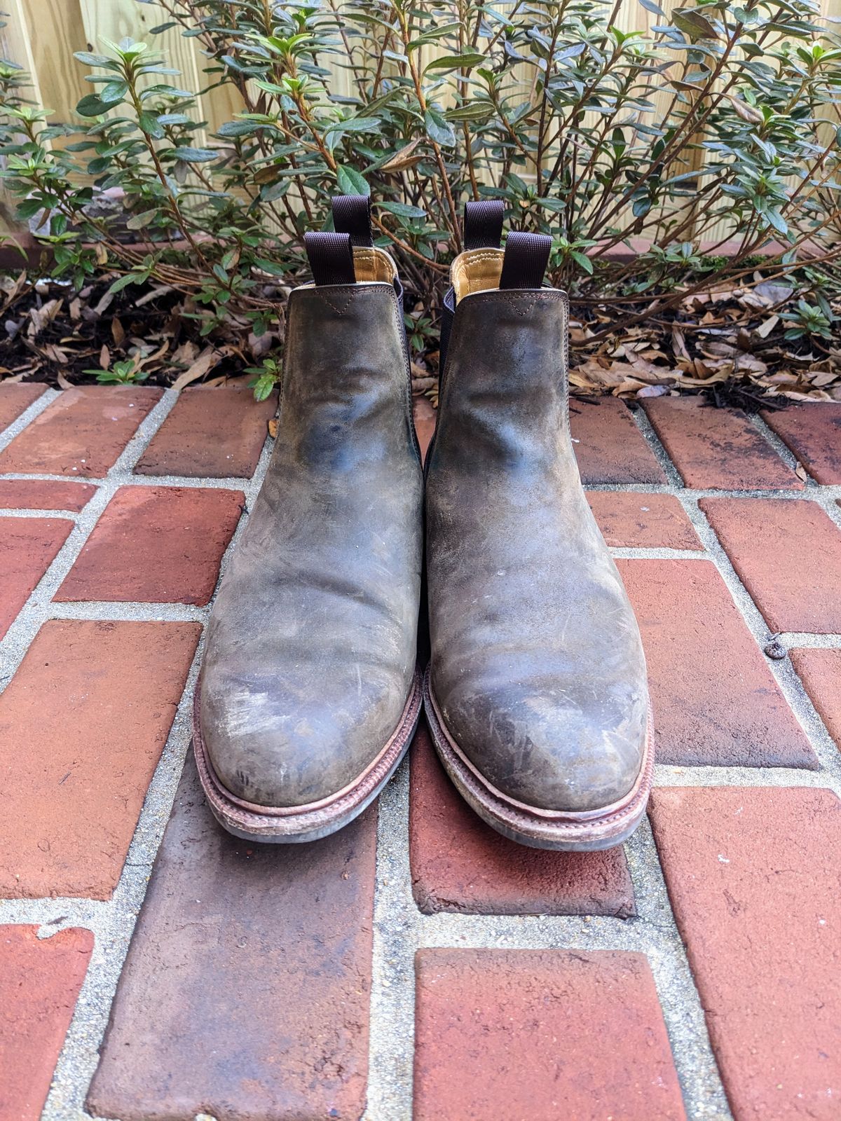 Photo by ganelo on January 1, 2023 of the Meermin Chelsea Boot in Caper Green Waxy Shell Cordovan.