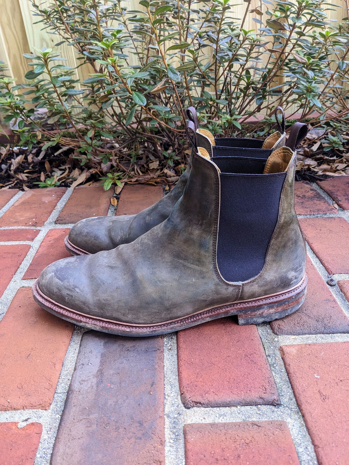 Photo by ganelo on January 1, 2023 of the Meermin Chelsea Boot in Caper Green Waxy Shell Cordovan.