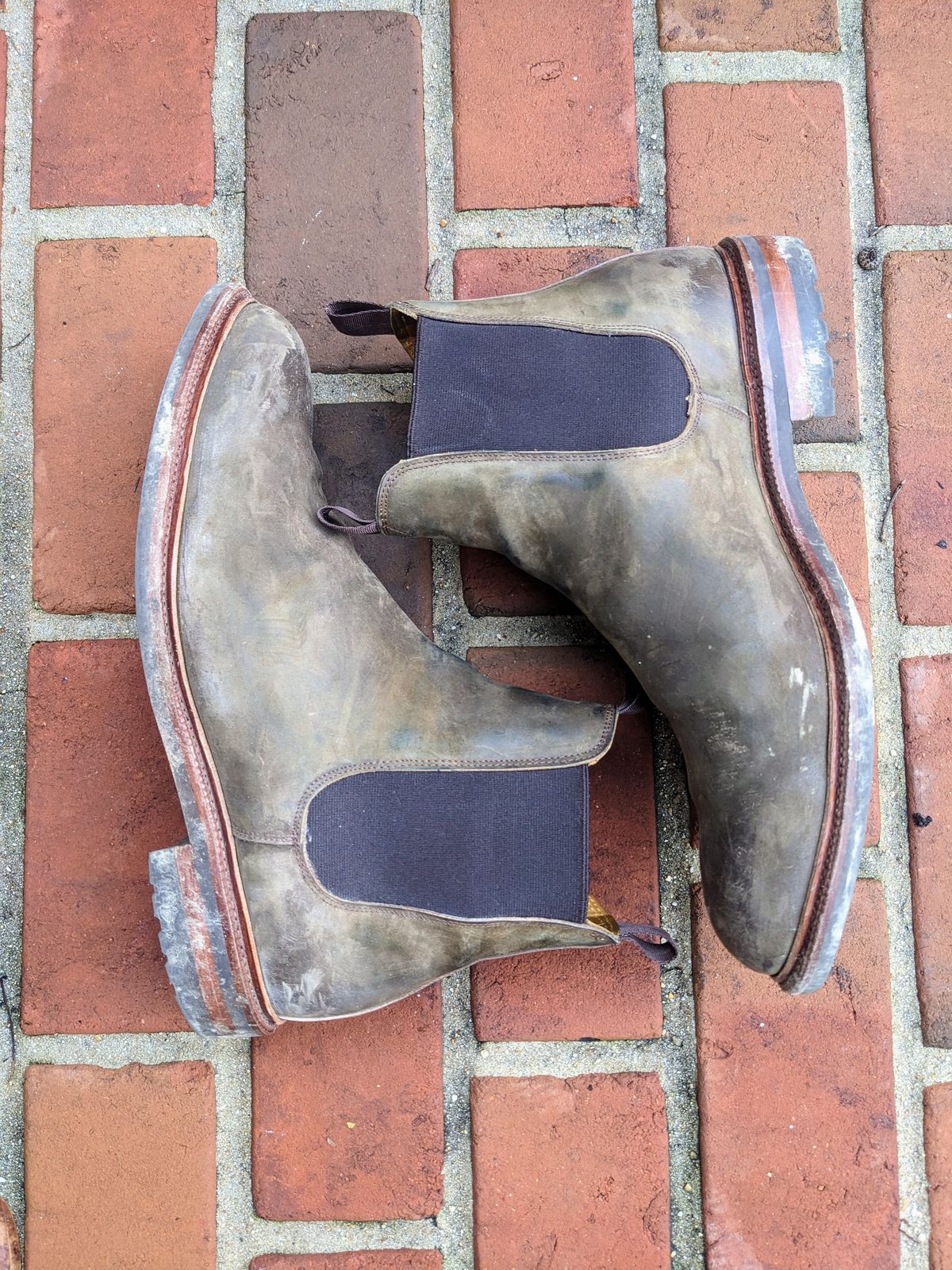 Photo by ganelo on January 1, 2023 of the Meermin Chelsea Boot in Caper Green Waxy Shell Cordovan.