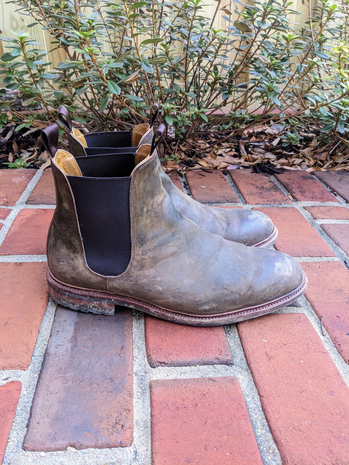 Photo by ganelo on January 1, 2023 of the Meermin Chelsea Boot in Caper Green Waxy Shell Cordovan.