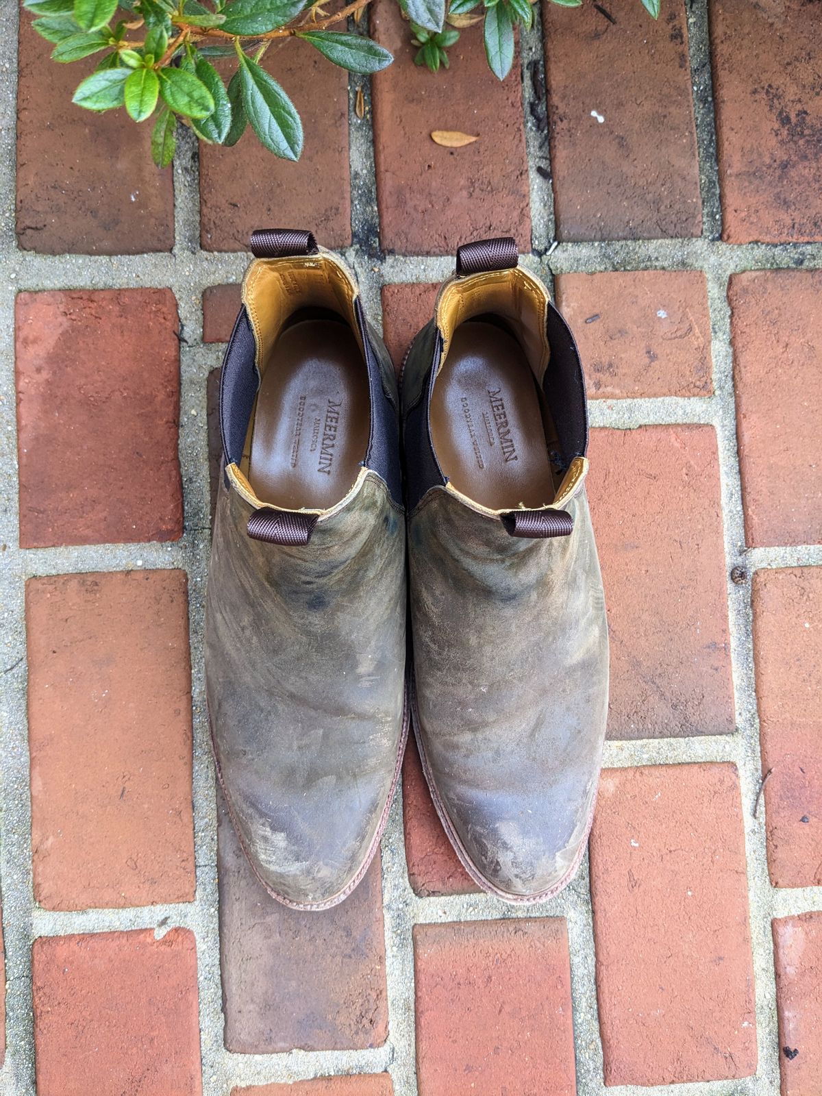 Photo by ganelo on January 1, 2023 of the Meermin Chelsea Boot in Caper Green Waxy Shell Cordovan.