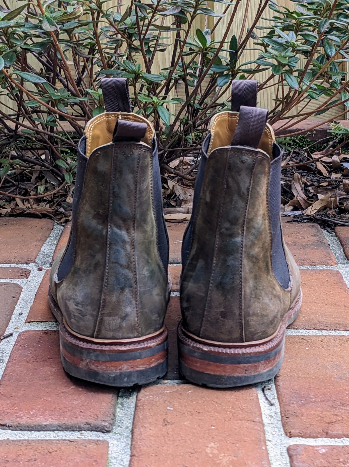 Photo by ganelo on February 5, 2023 of the Meermin Chelsea Boot in Caper Green Waxy Shell Cordovan.