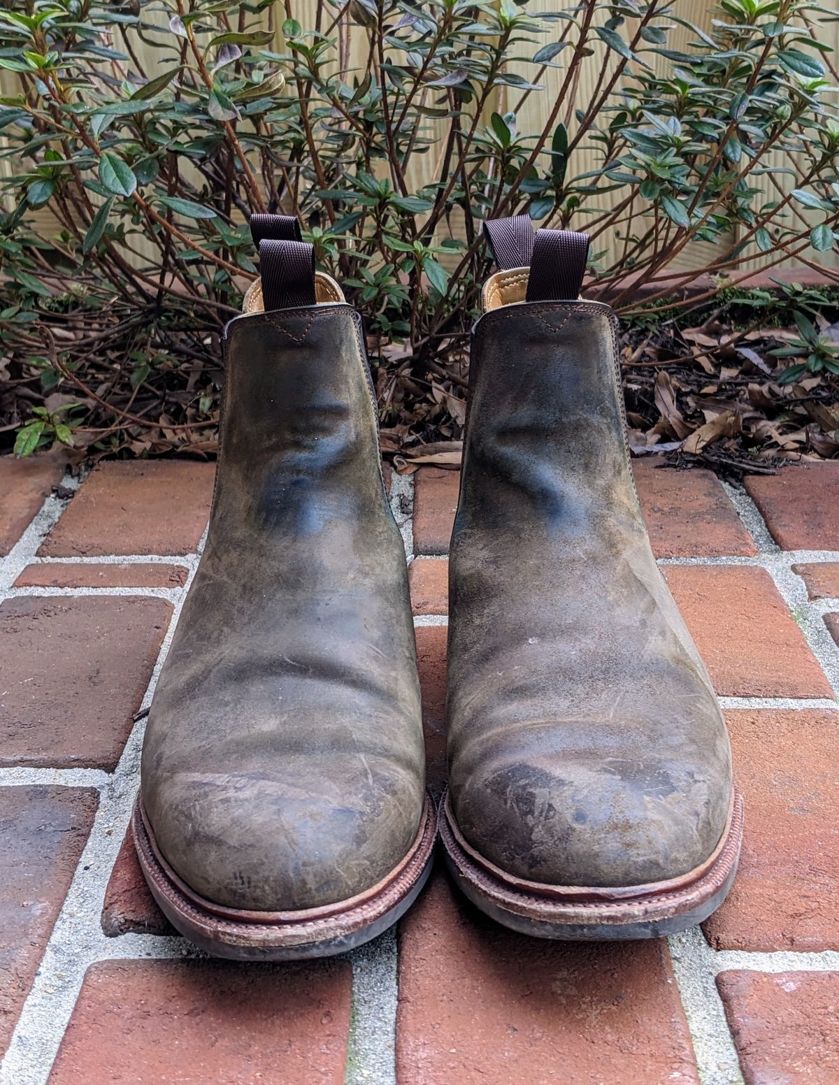 Photo by ganelo on February 5, 2023 of the Meermin Chelsea Boot in Caper Green Waxy Shell Cordovan.