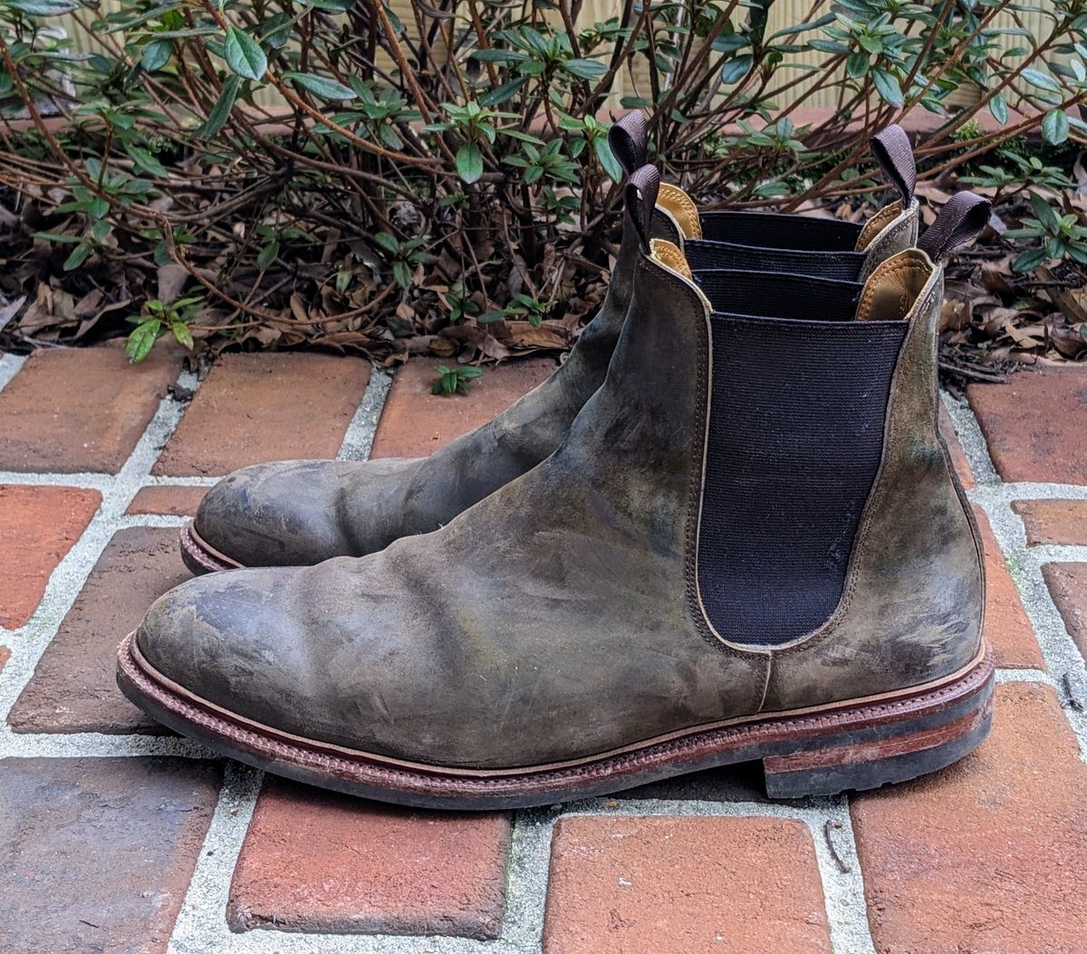 Photo by ganelo on February 5, 2023 of the Meermin Chelsea Boot in Caper Green Waxy Shell Cordovan.