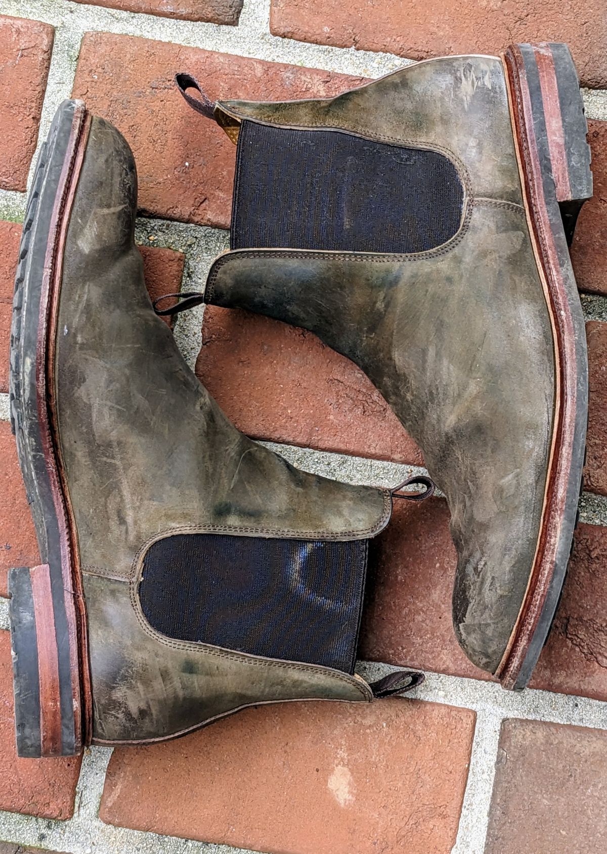 Photo by ganelo on February 5, 2023 of the Meermin Chelsea Boot in Caper Green Waxy Shell Cordovan.