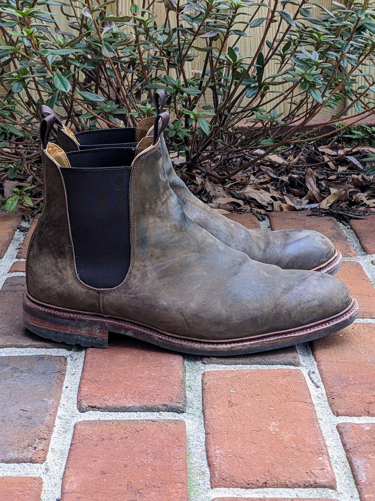 Photo by ganelo on February 5, 2023 of the Meermin Chelsea Boot in Caper Green Waxy Shell Cordovan.