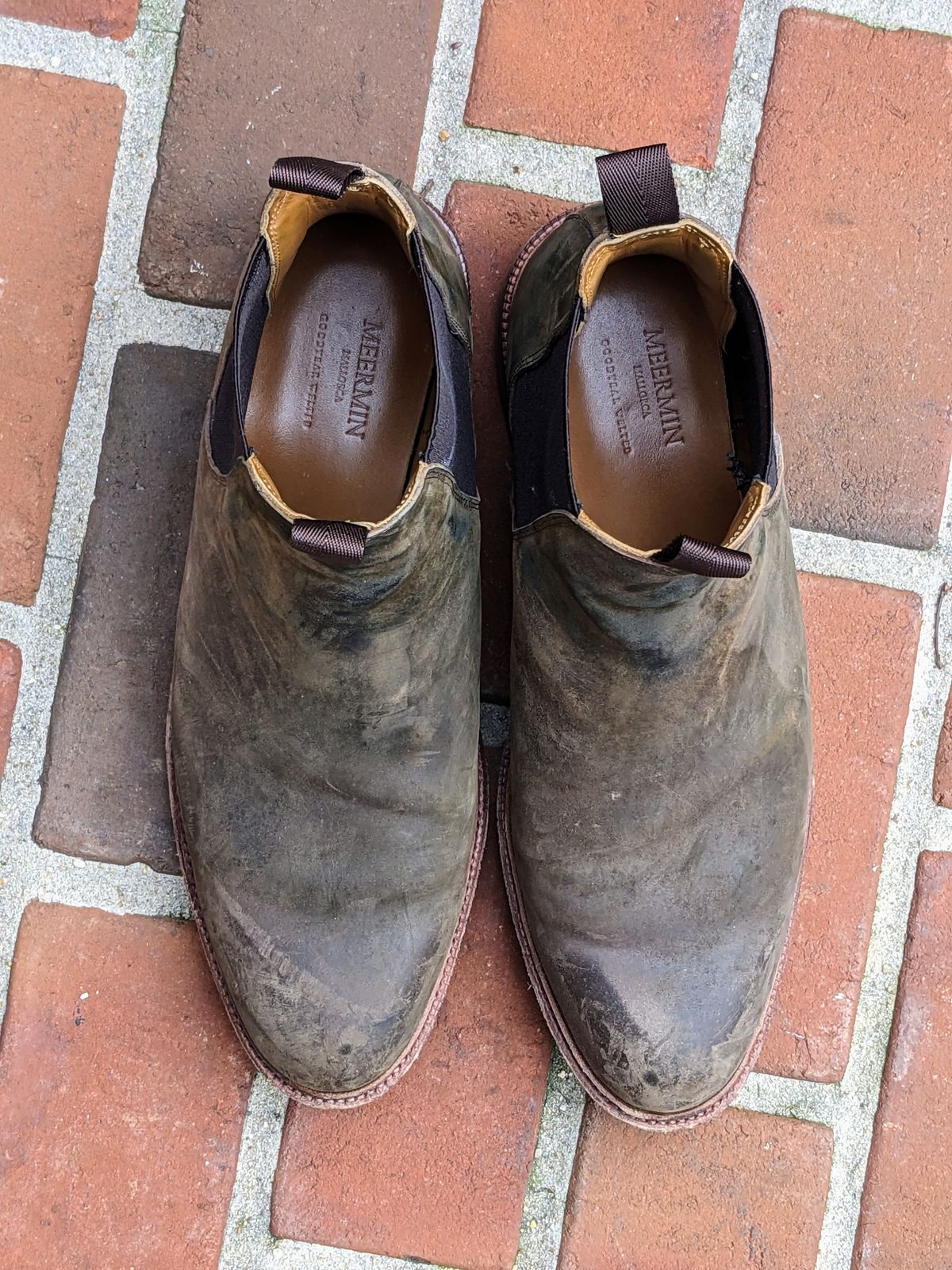 Photo by ganelo on February 5, 2023 of the Meermin Chelsea Boot in Caper Green Waxy Shell Cordovan.