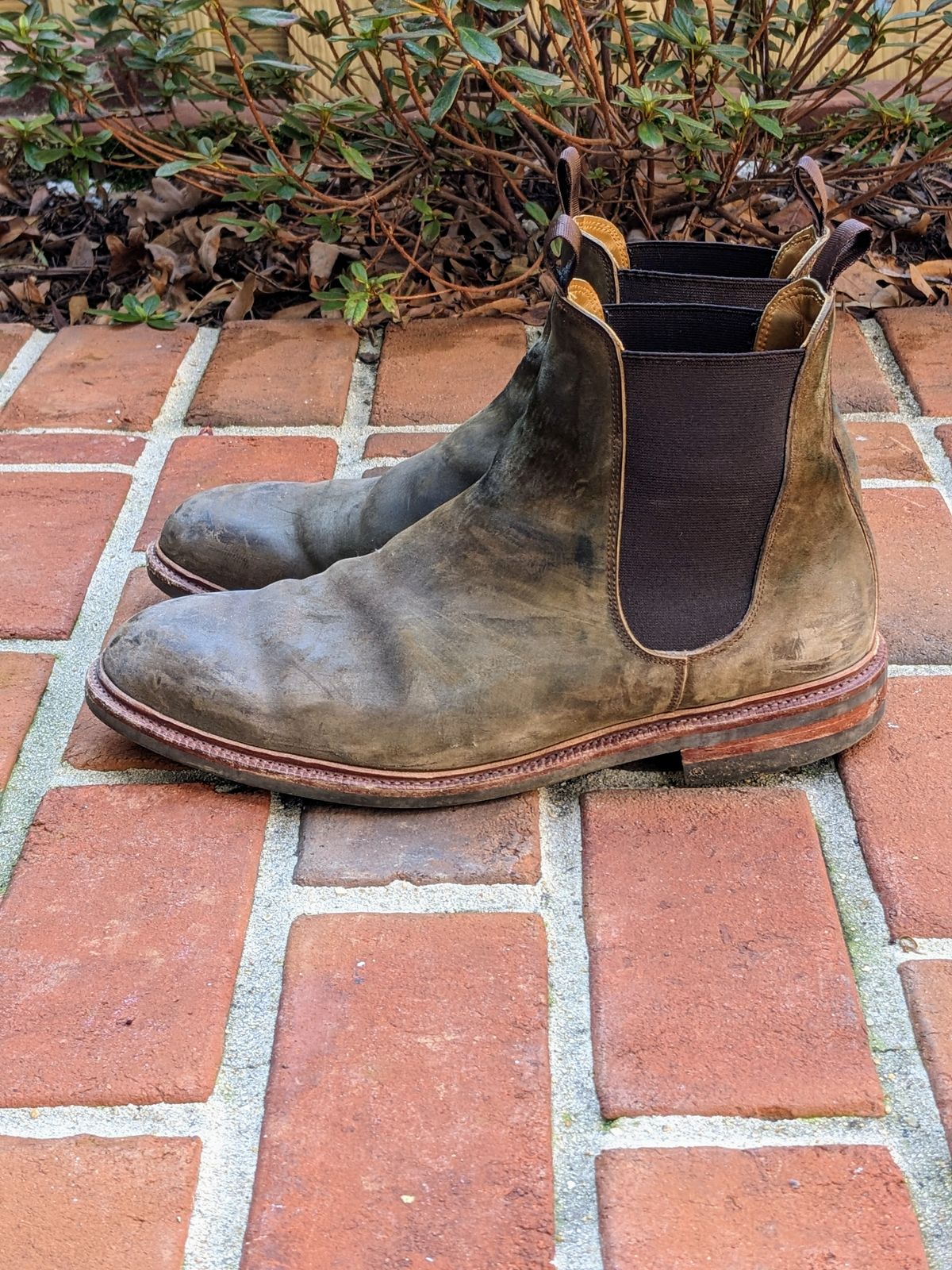 Photo by ganelo on March 5, 2023 of the Meermin Chelsea Boot in Caper Green Waxy Shell Cordovan.