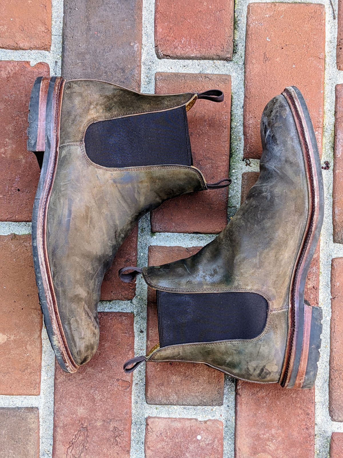 Photo by ganelo on March 5, 2023 of the Meermin Chelsea Boot in Caper Green Waxy Shell Cordovan.