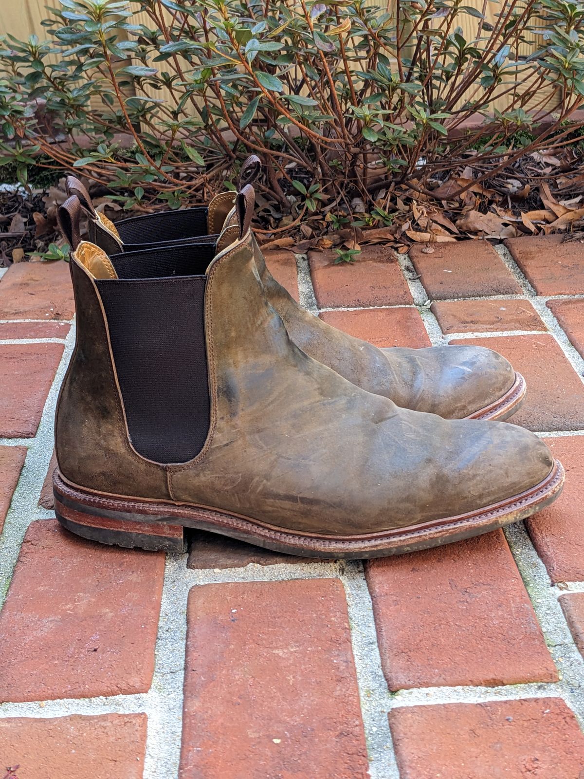 Photo by ganelo on March 5, 2023 of the Meermin Chelsea Boot in Caper Green Waxy Shell Cordovan.