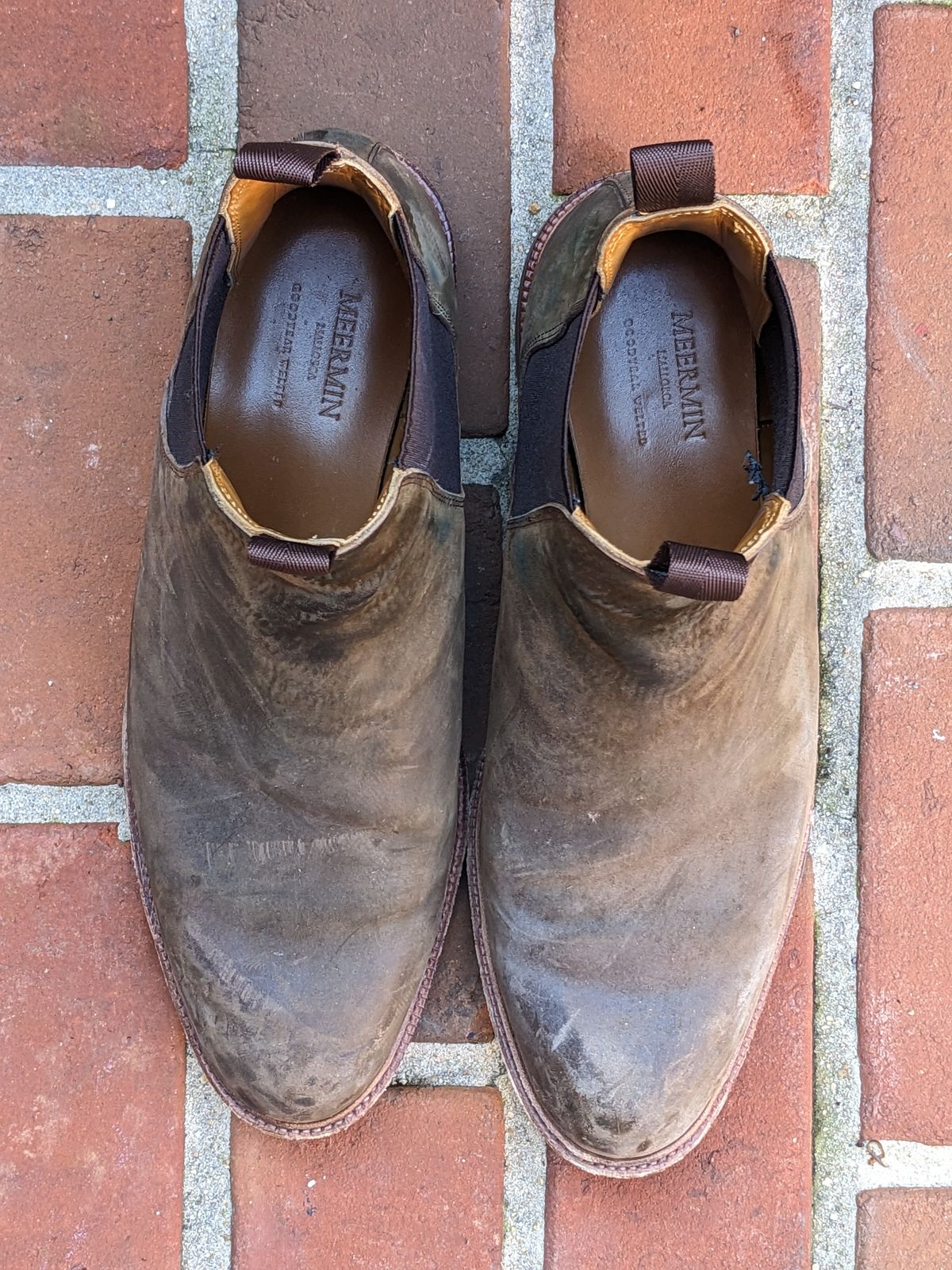 Photo by ganelo on March 5, 2023 of the Meermin Chelsea Boot in Caper Green Waxy Shell Cordovan.