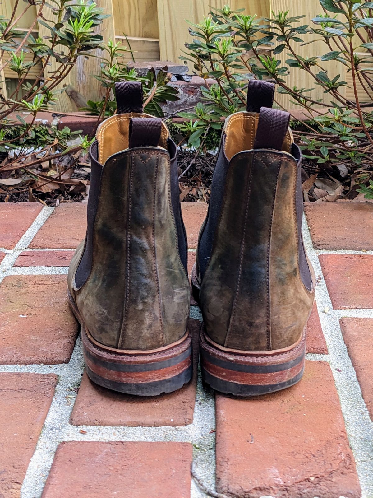 Photo by ganelo on April 5, 2023 of the Meermin Chelsea Boot in Caper Green Waxy Shell Cordovan.