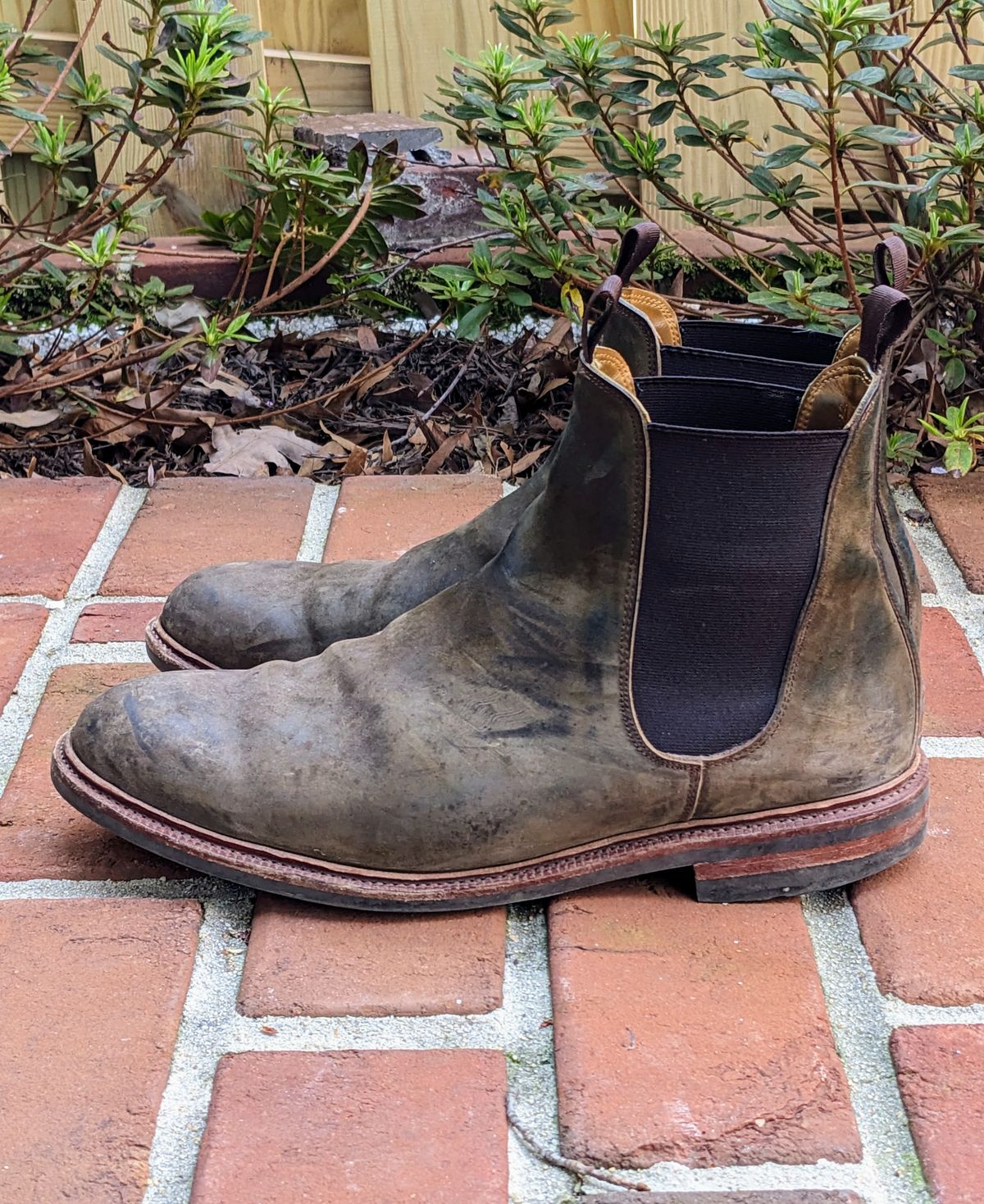 Photo by ganelo on April 5, 2023 of the Meermin Chelsea Boot in Caper Green Waxy Shell Cordovan.