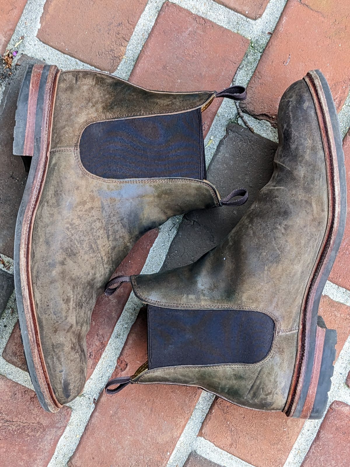 Photo by ganelo on April 5, 2023 of the Meermin Chelsea Boot in Caper Green Waxy Shell Cordovan.