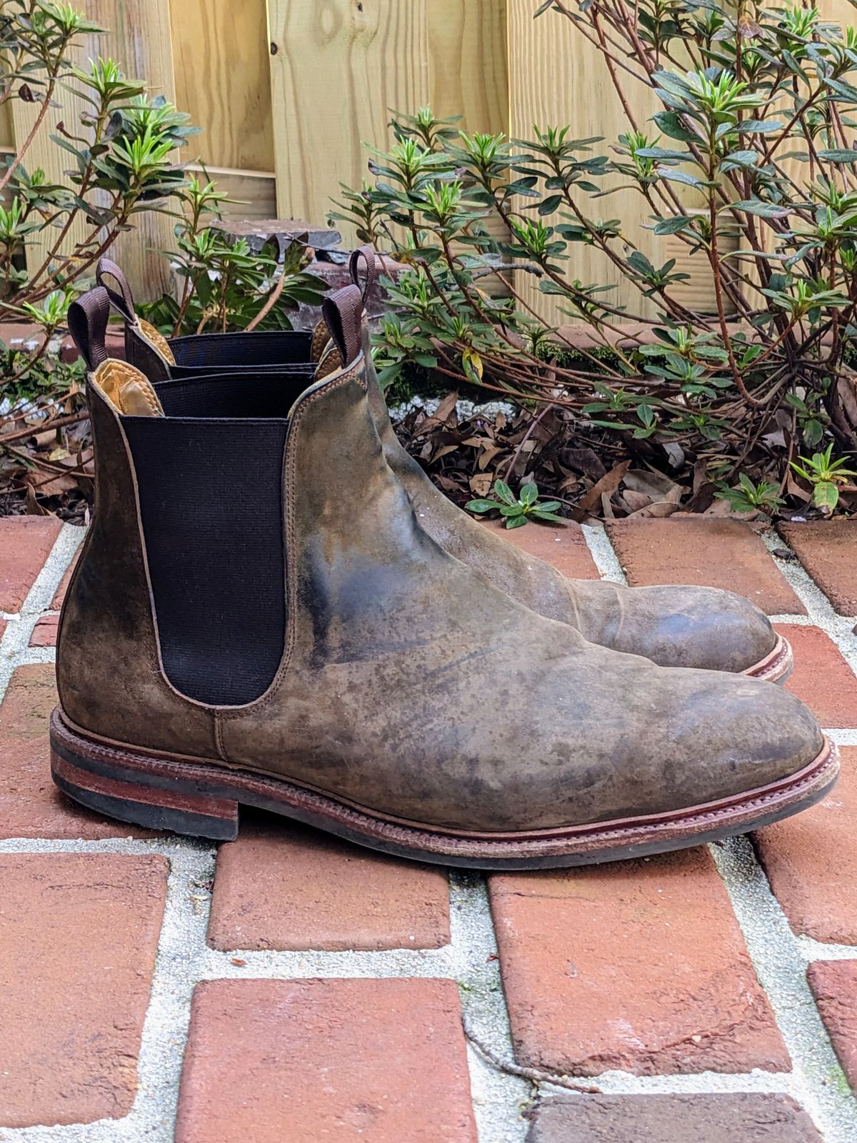 Photo by ganelo on April 5, 2023 of the Meermin Chelsea Boot in Caper Green Waxy Shell Cordovan.