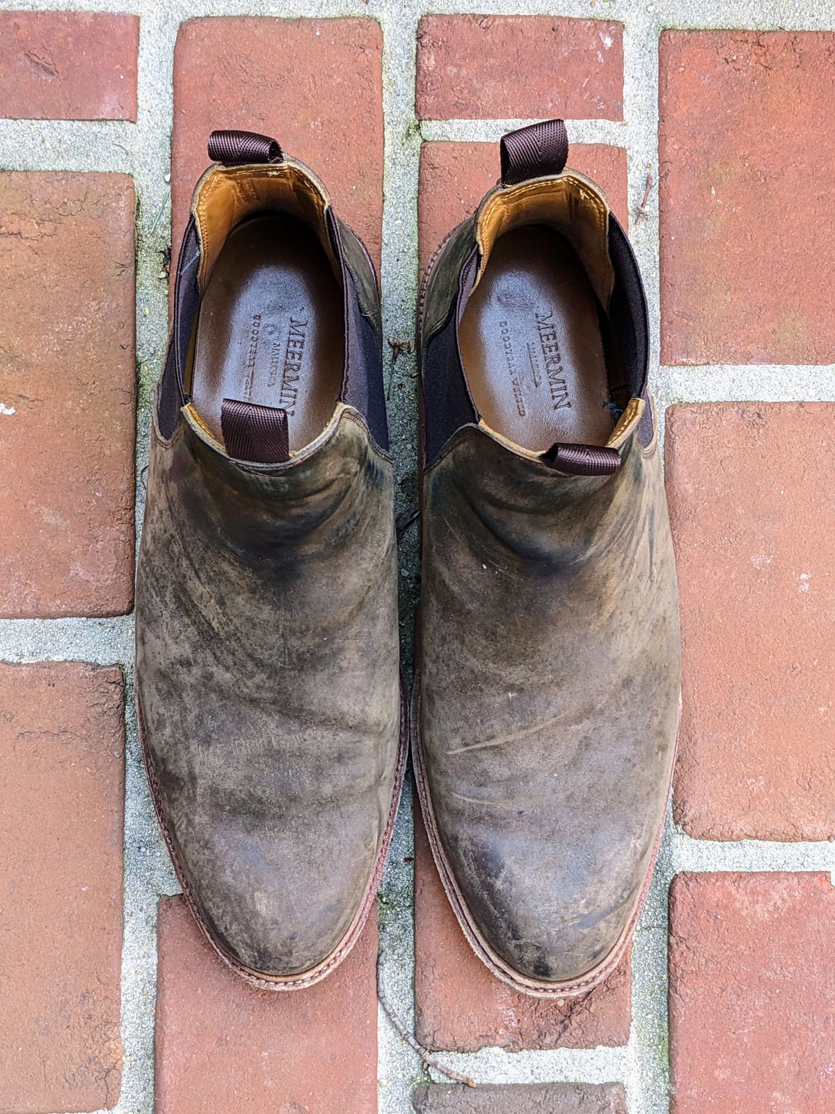 Photo by ganelo on April 5, 2023 of the Meermin Chelsea Boot in Caper Green Waxy Shell Cordovan.