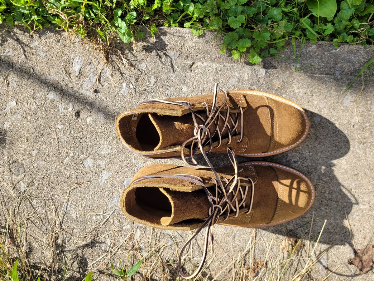 Photo by ct358545 on October 1, 2023 of the Truman Service Boot in Tasman Leather Group Coyote Roughout.