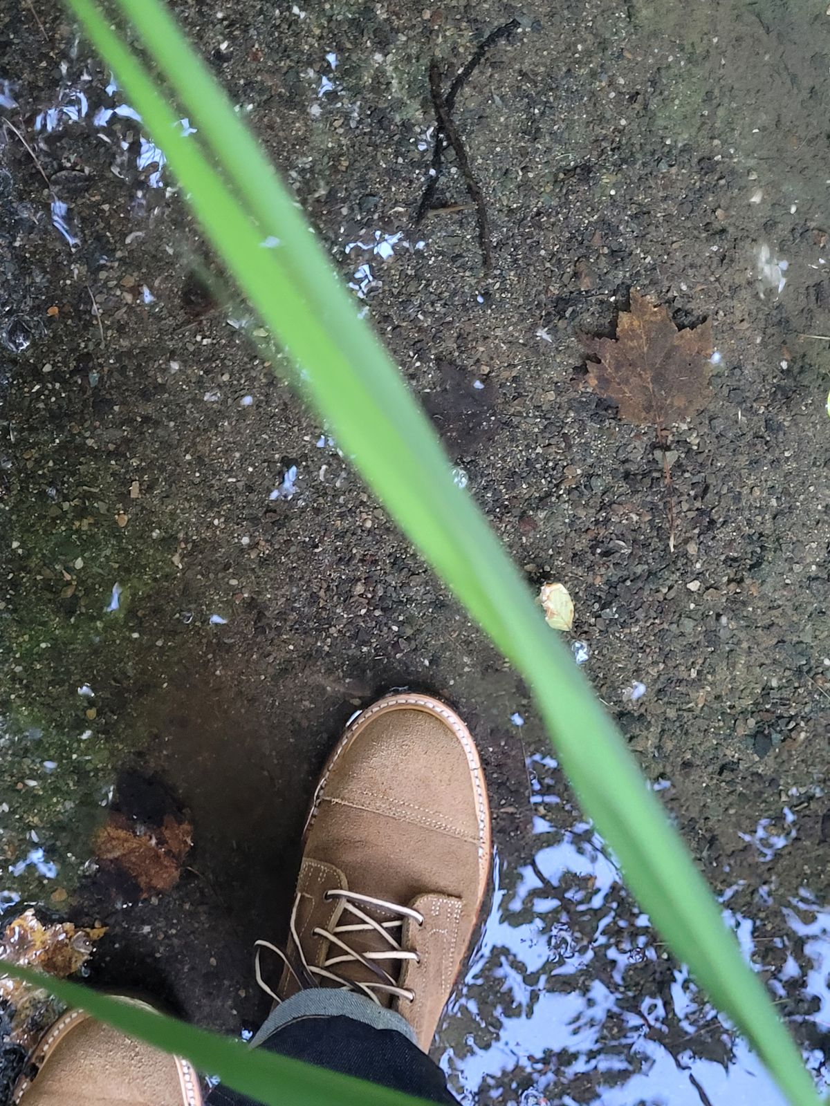 Photo by ct358545 on October 2, 2023 of the Truman Service Boot in Tasman Leather Group Coyote Roughout.