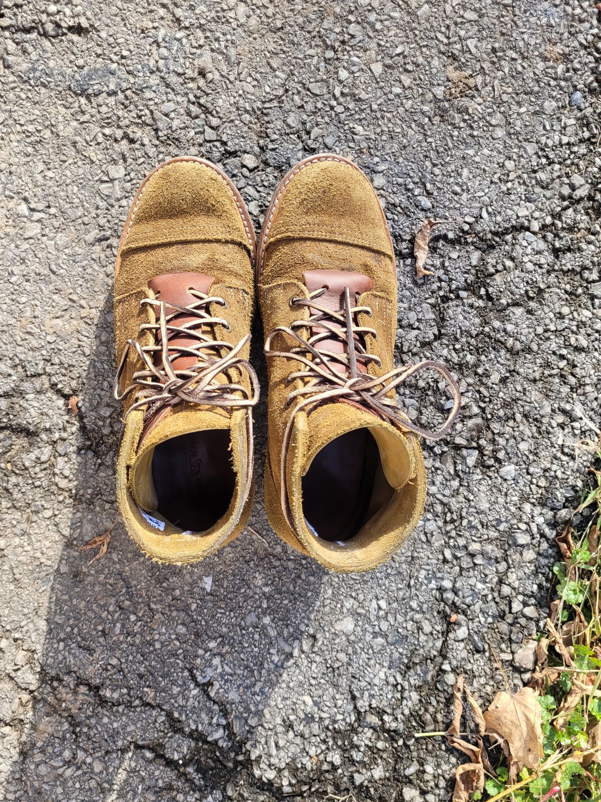 Photo by ct358545 on November 1, 2023 of the Truman Service Boot in Tasman Leather Group Coyote Roughout.