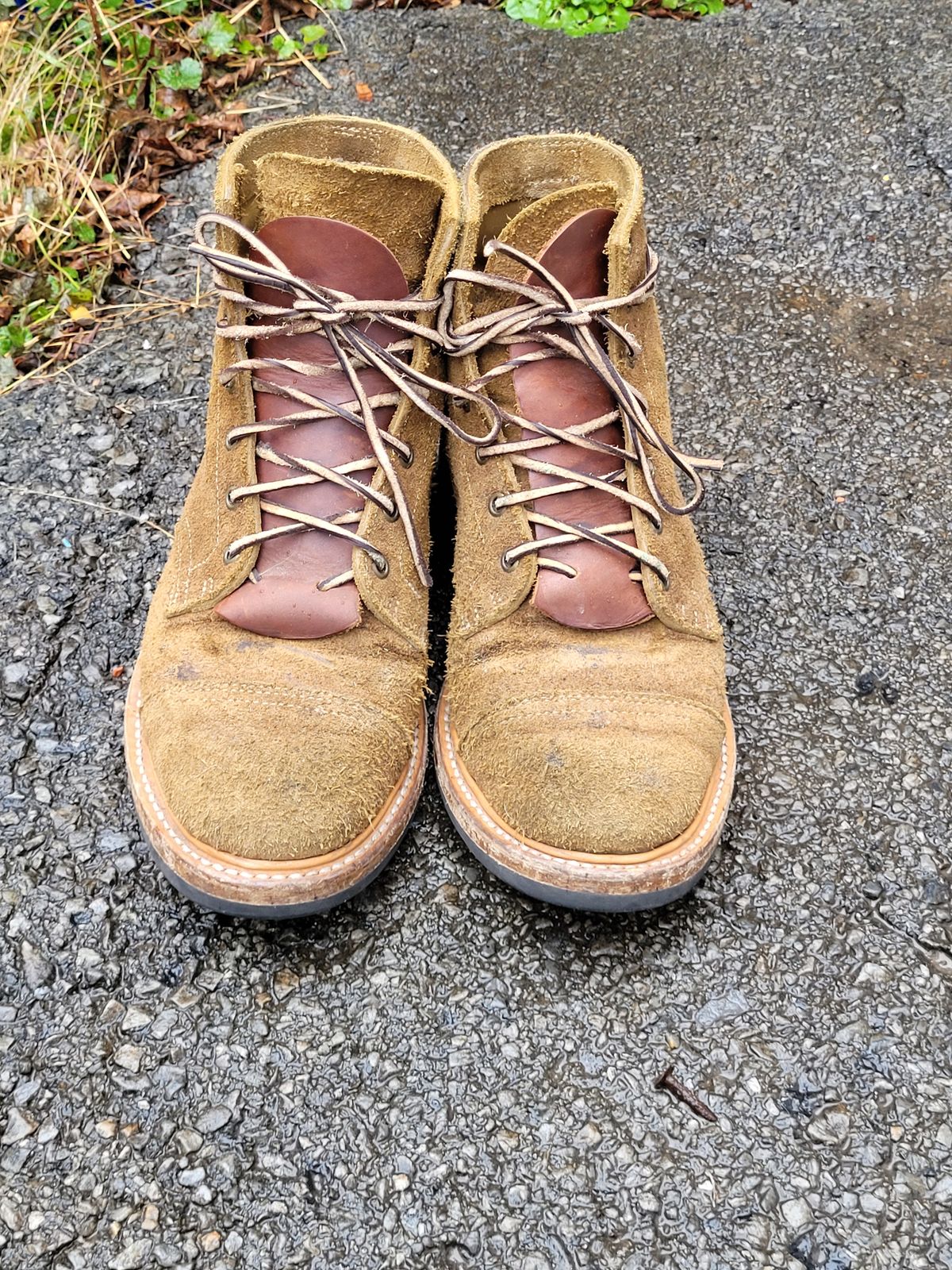 Photo by ct358545 on December 3, 2023 of the Truman Service Boot in Tasman Leather Group Coyote Roughout.