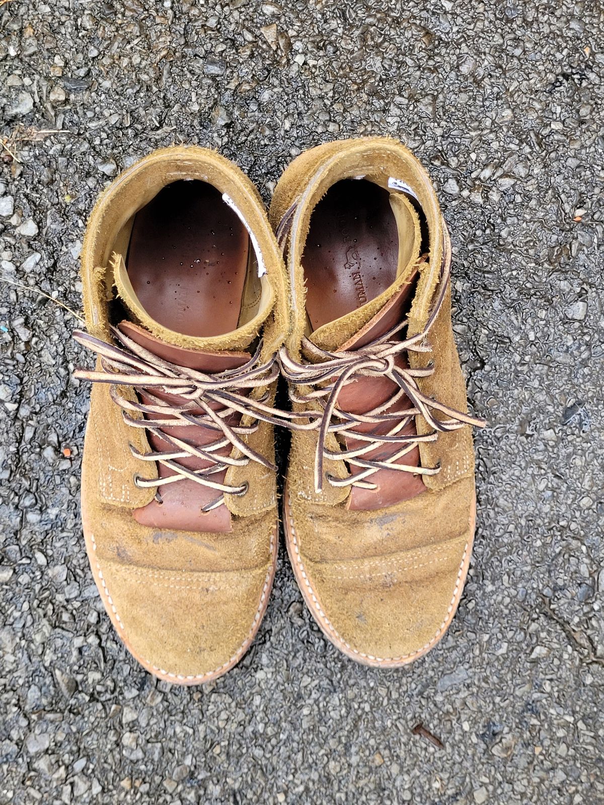 Photo by ct358545 on December 3, 2023 of the Truman Service Boot in Tasman Leather Group Coyote Roughout.