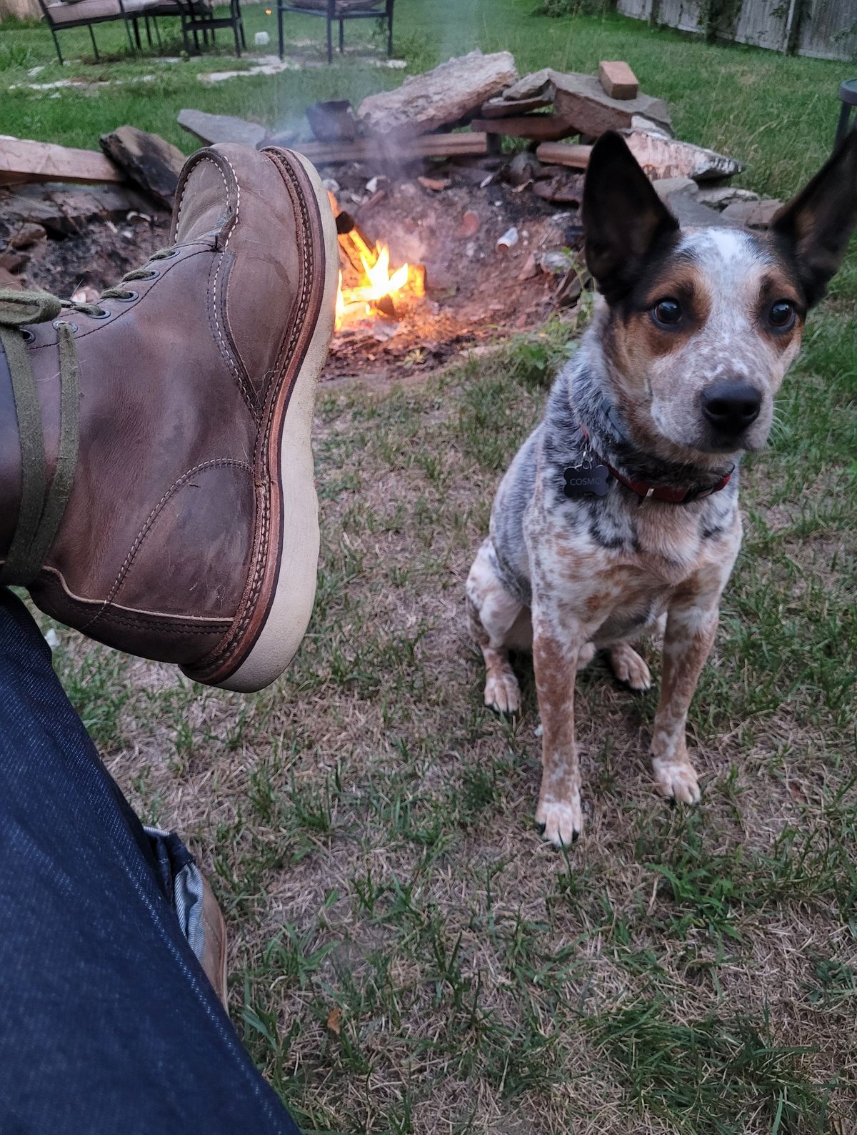 Photo by ct358545 on August 13, 2022 of the Red Wing 6-Inch Classic Moc in Unknown Material.