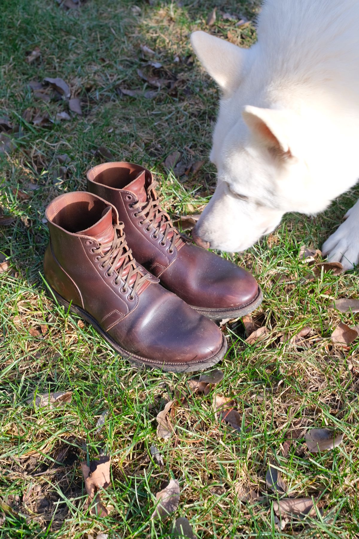 Photo by danadd94 on January 5, 2024 of the Viberg x Himel Ammunition Boot in Comipel Brown Horsebutt.