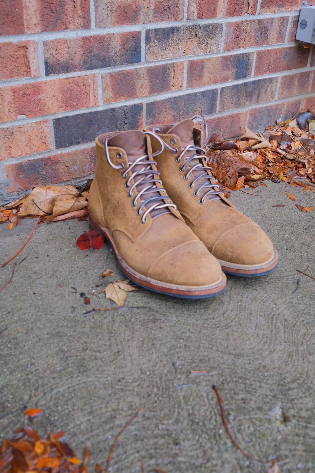 Photo by danadd94 on November 6, 2024 of the Viberg Service Boot in Horween Wheat Predator Roughout.