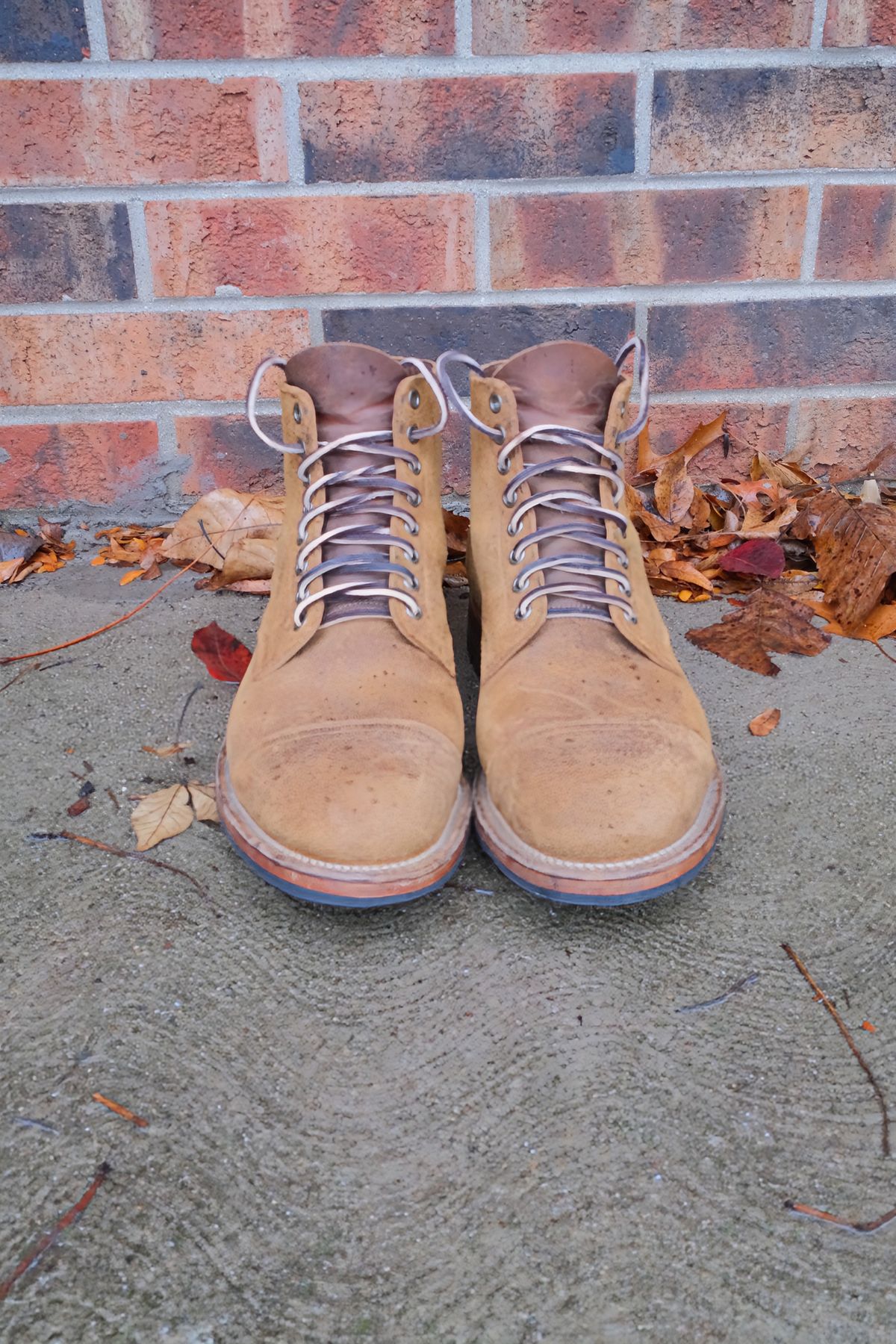 Photo by danadd94 on November 6, 2024 of the Viberg Service Boot in Horween Wheat Predator Roughout.
